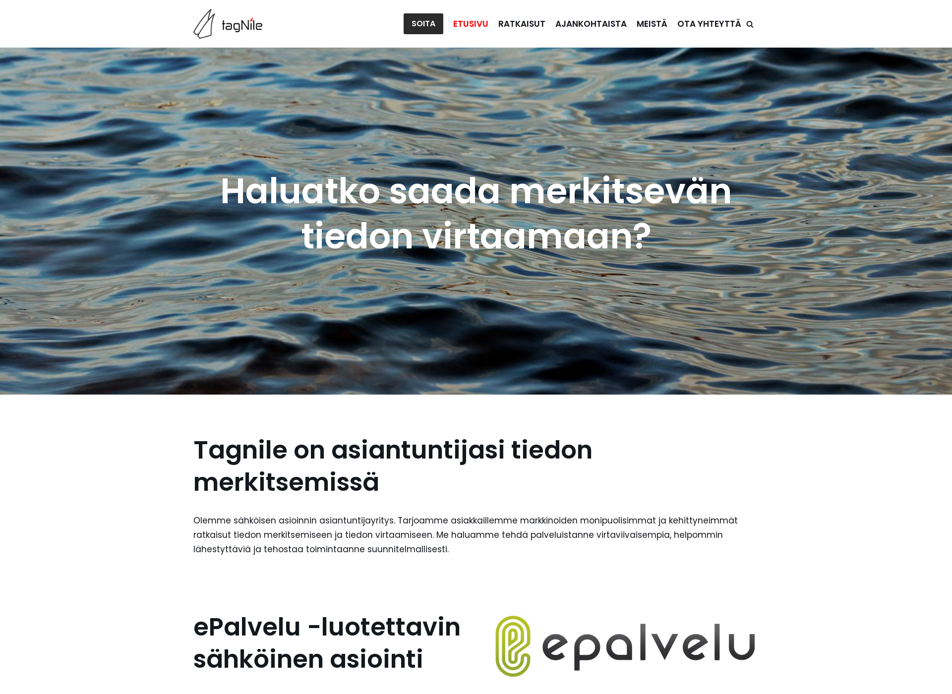Skärmdump för tagnile.fi