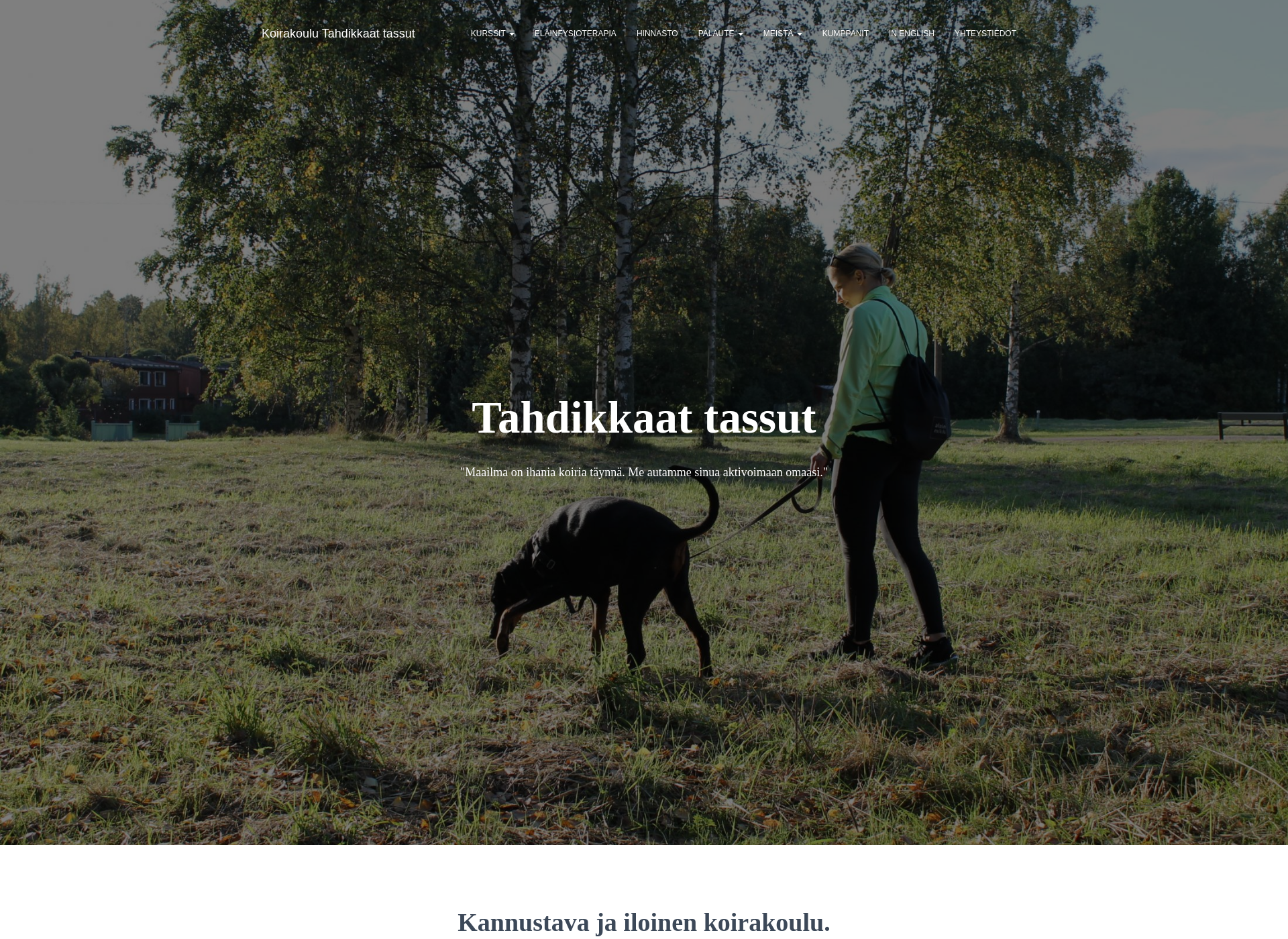 Skärmdump för tahdikkaattassut.fi