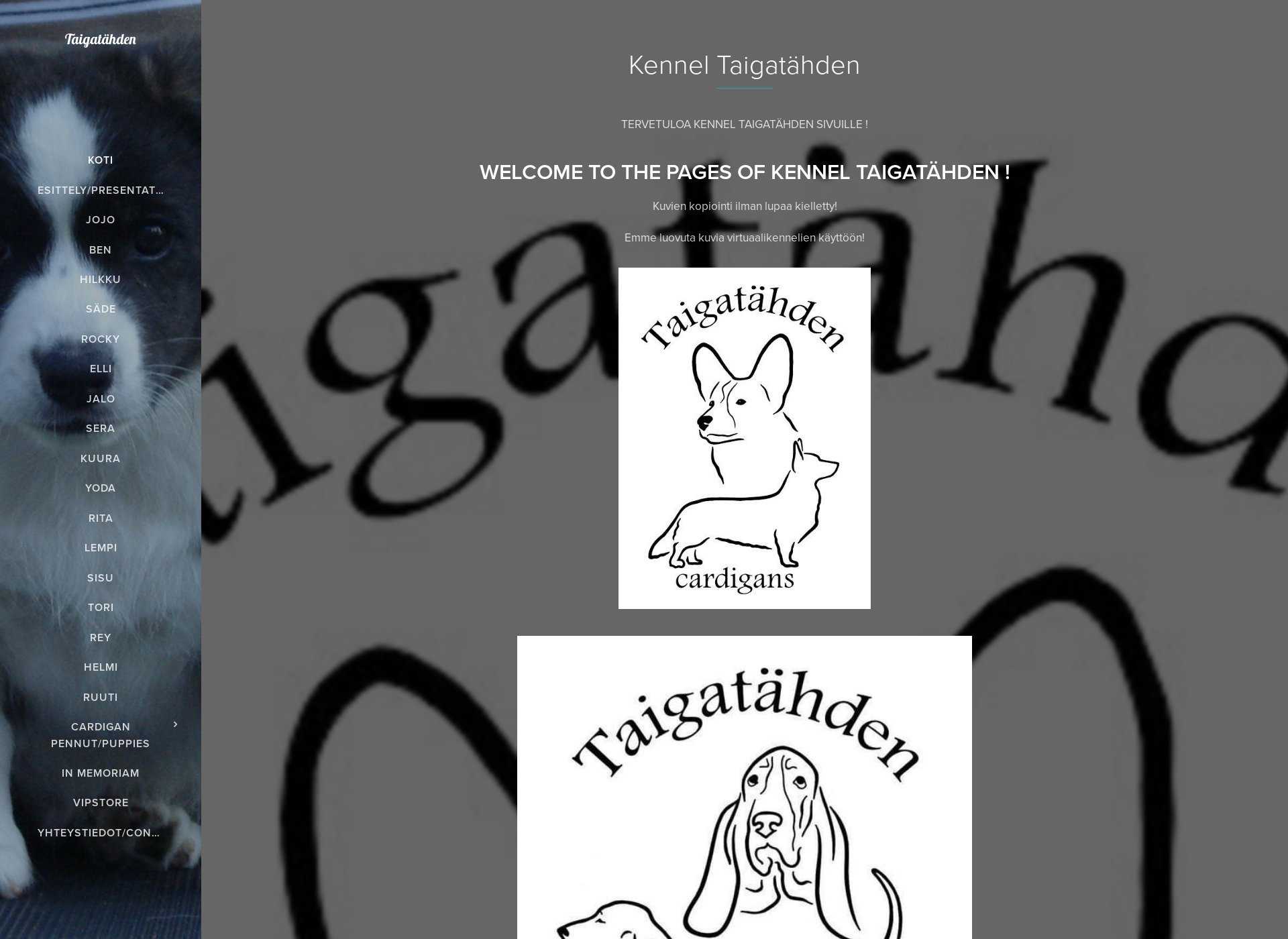 Skärmdump för taigatahden.fi