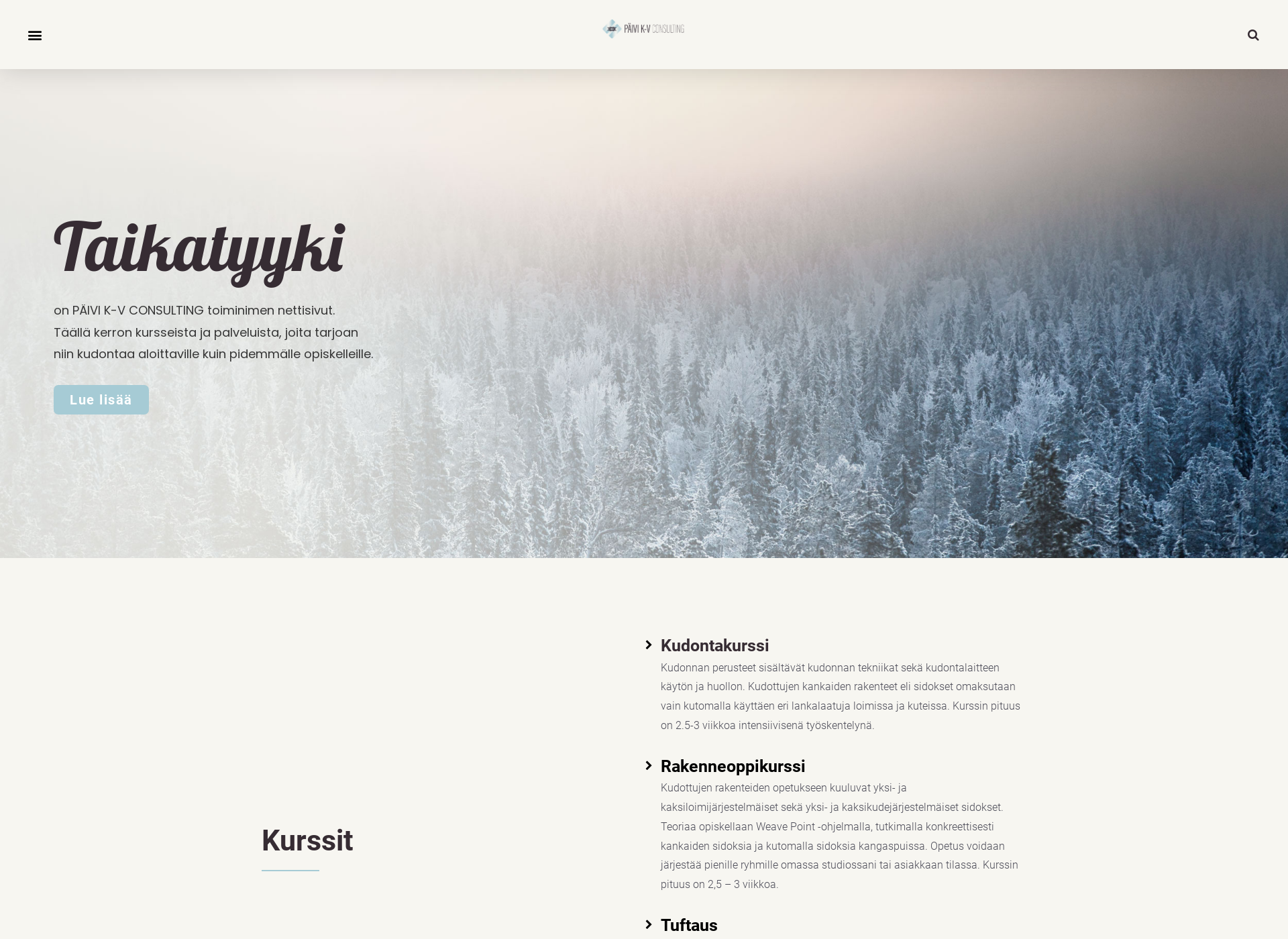 Screenshot for taikatyyki.fi