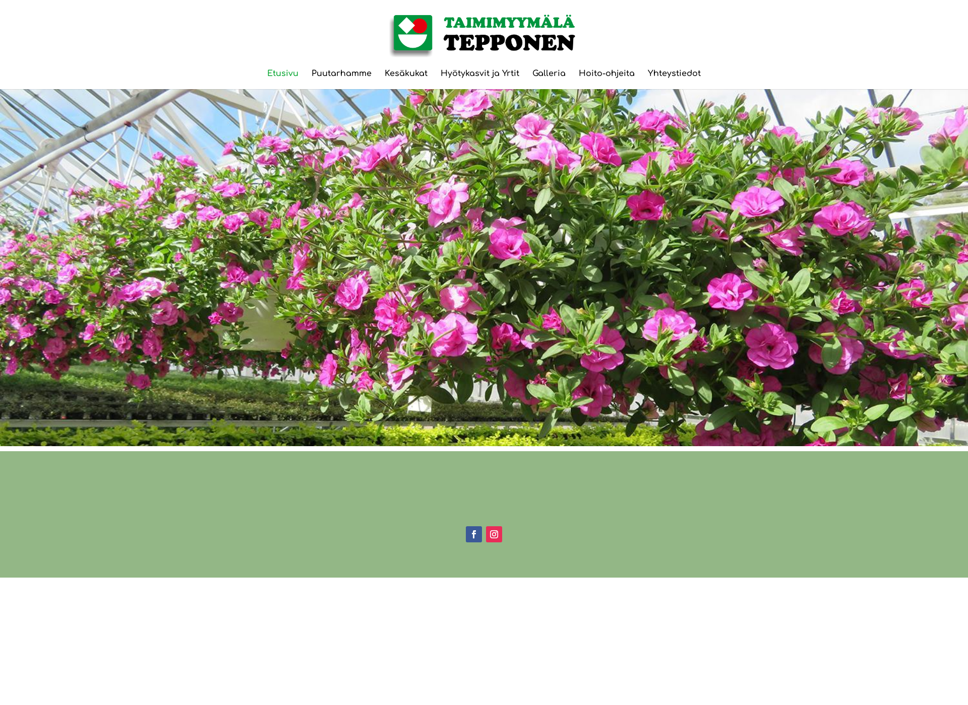 Screenshot for taimimyymälätepponen.fi