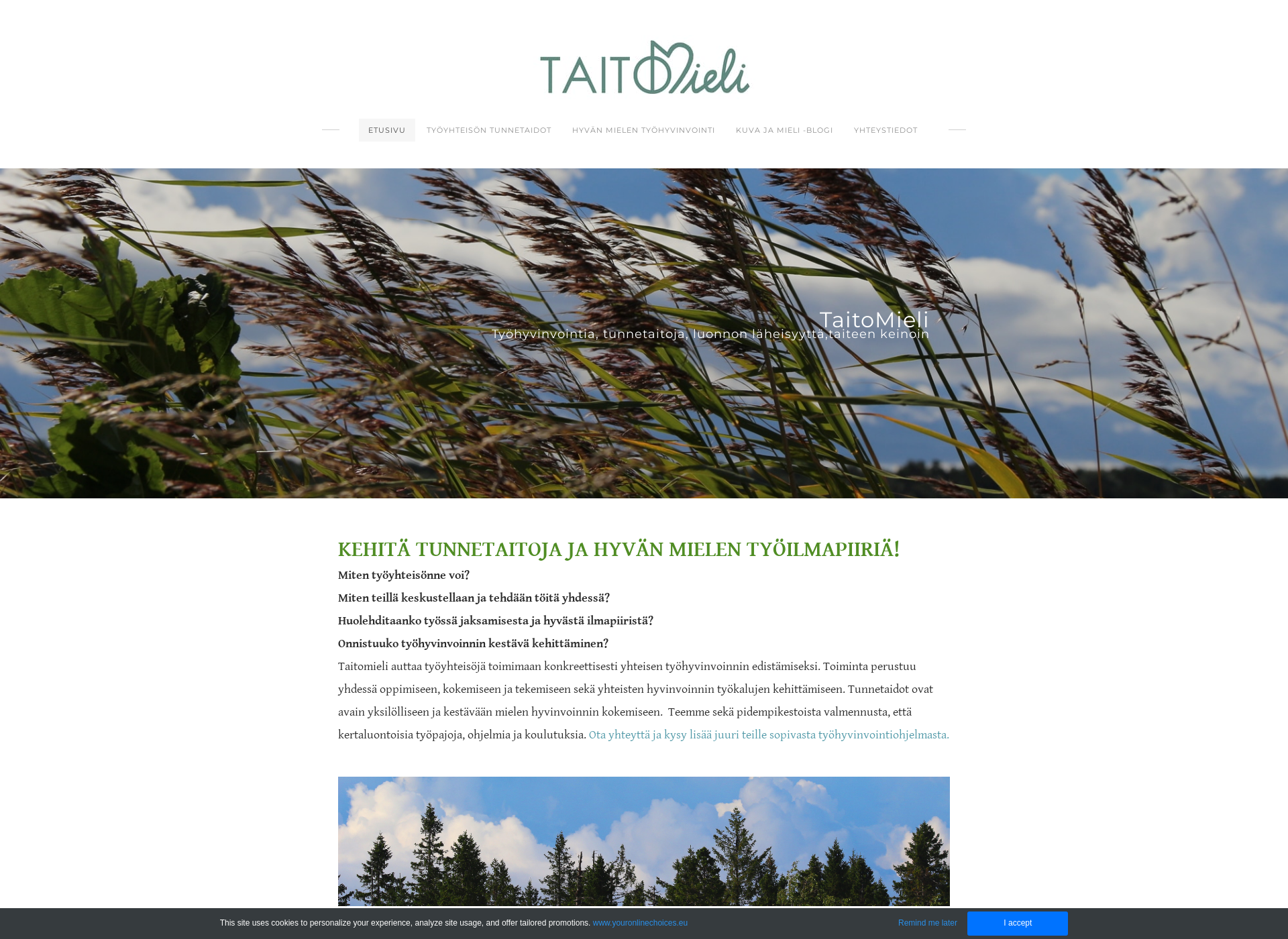 Screenshot for taitomieli.fi
