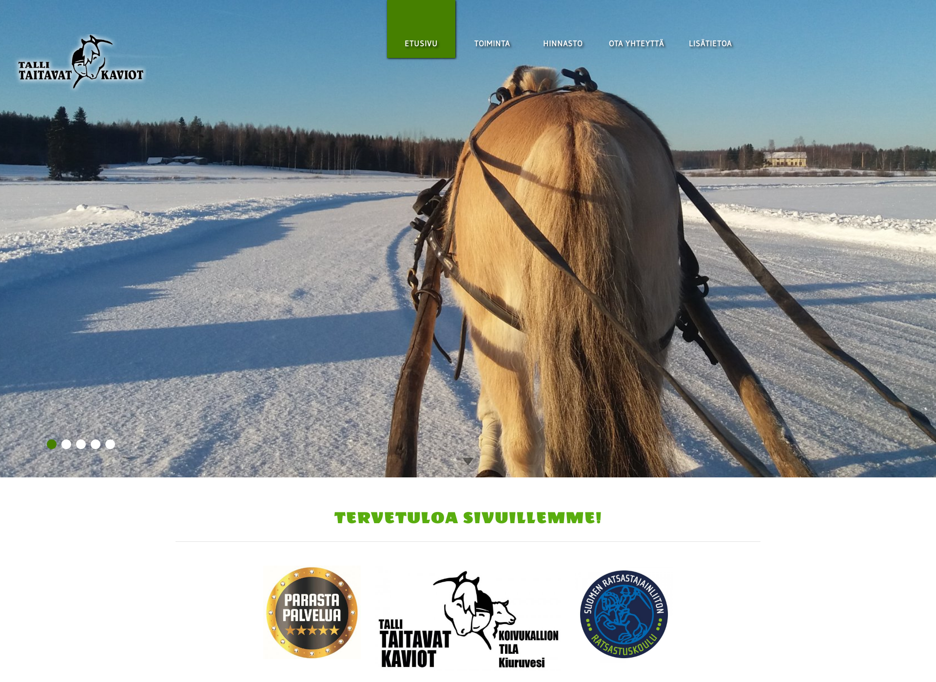 Screenshot for tallitaitavatkaviot.fi