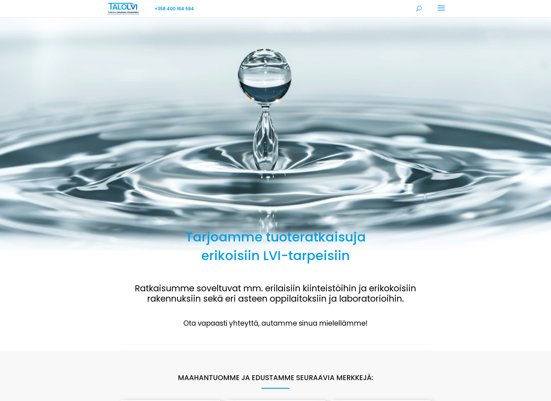 Screenshot for talolvi.fi