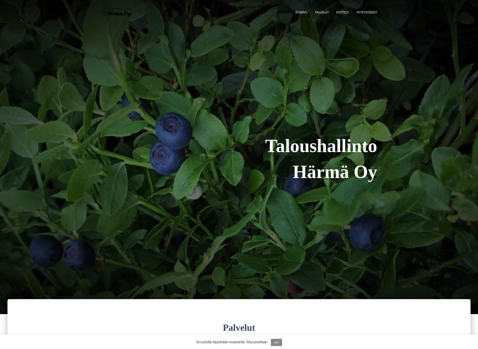 Screenshot for taloushallintoharma.fi