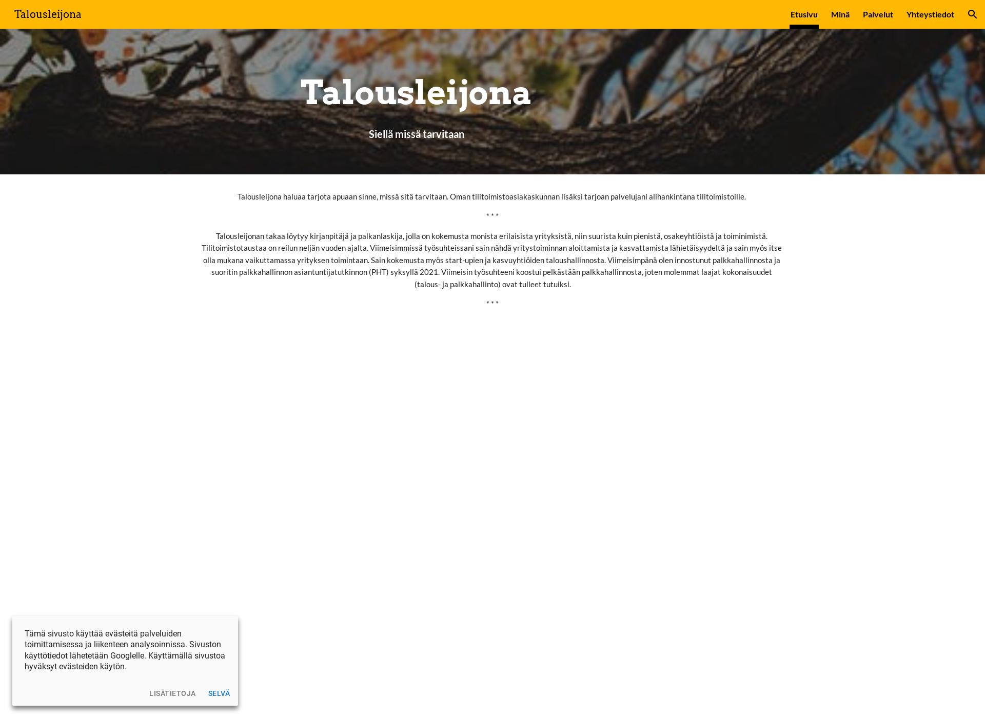 Screenshot for talousleijona.fi