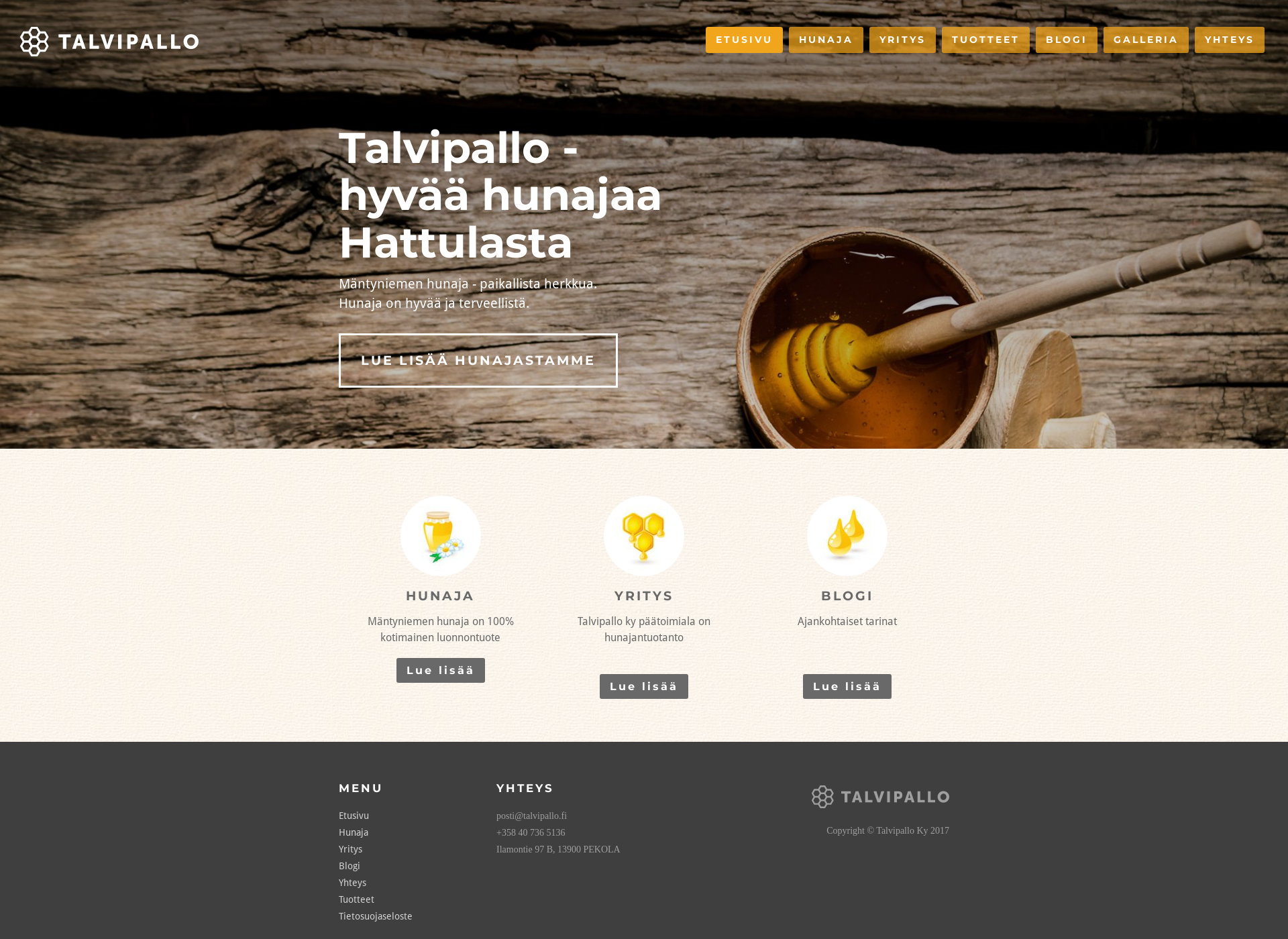 Screenshot for talvipallo.fi
