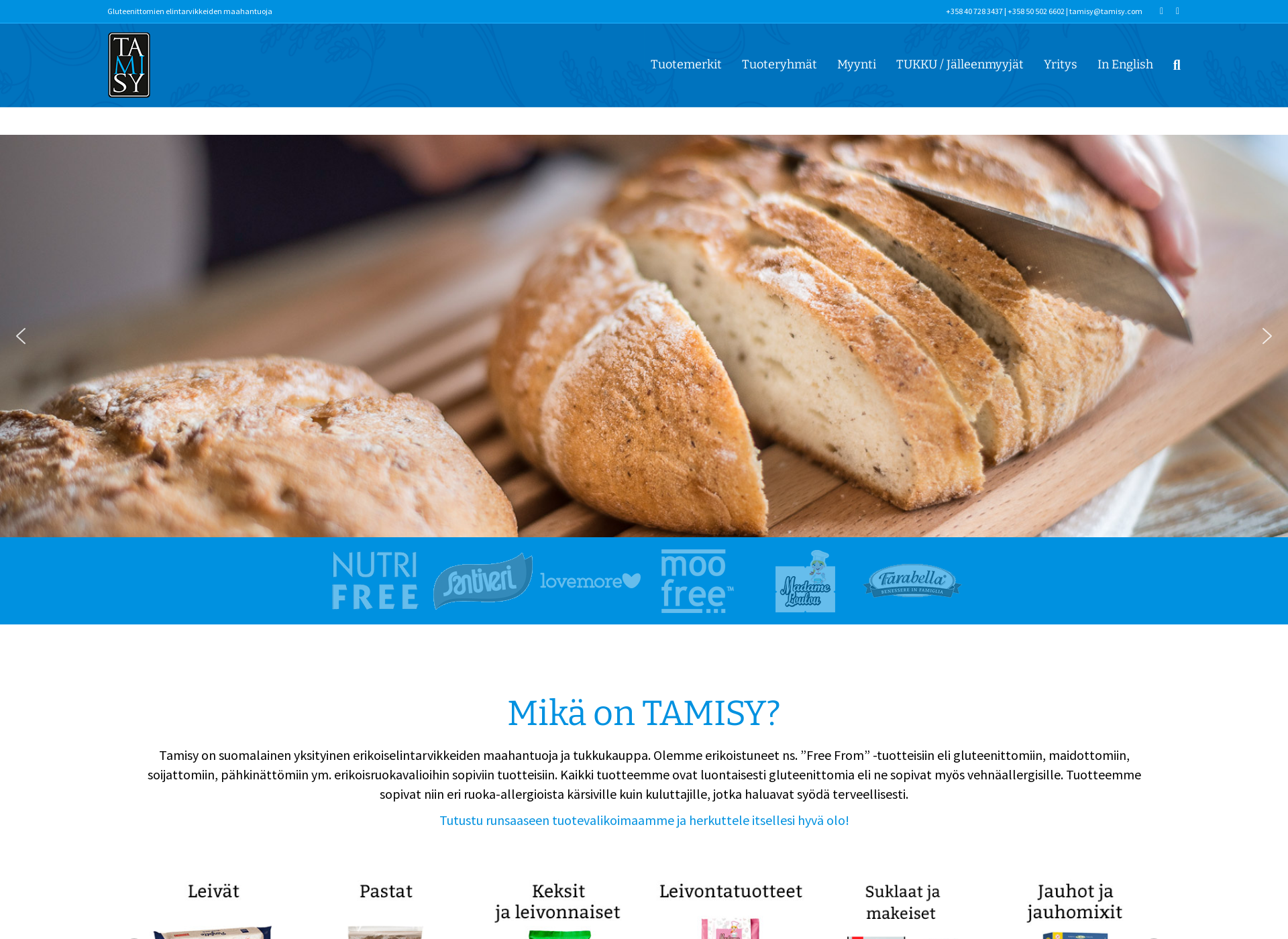 Screenshot for tamisy.com