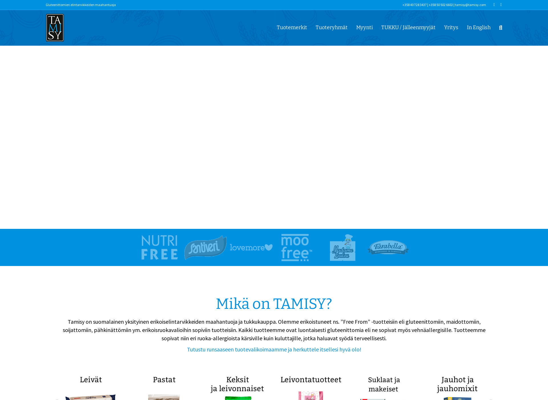 Skärmdump för tamisy.fi