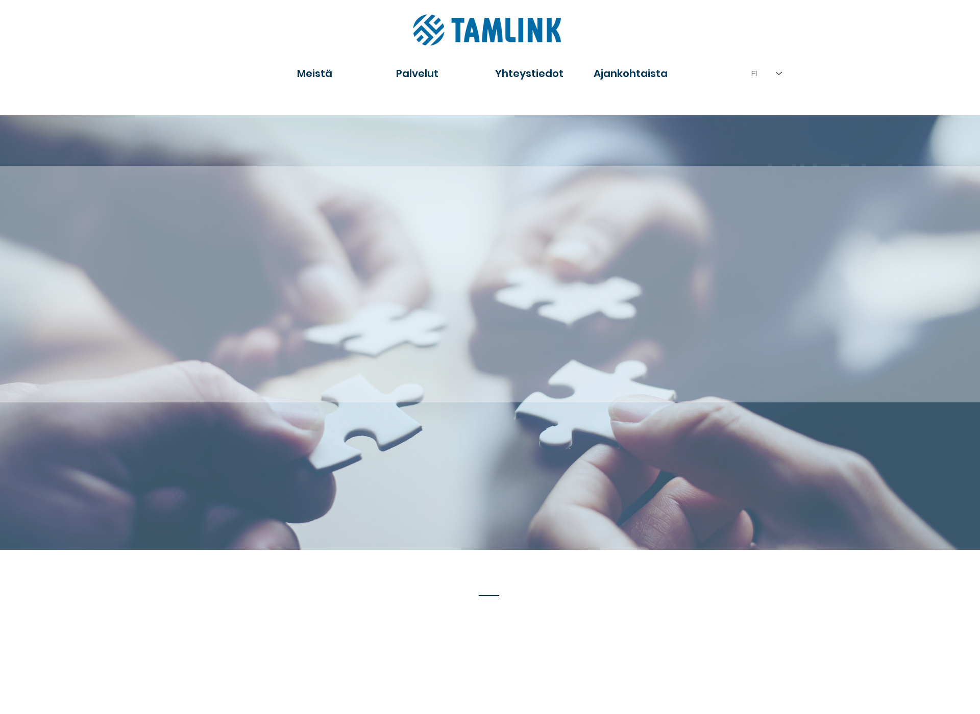 Skärmdump för tamlink.fi