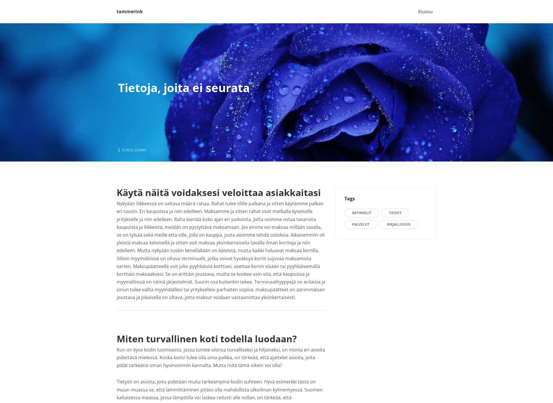 Screenshot for tammerink.fi
