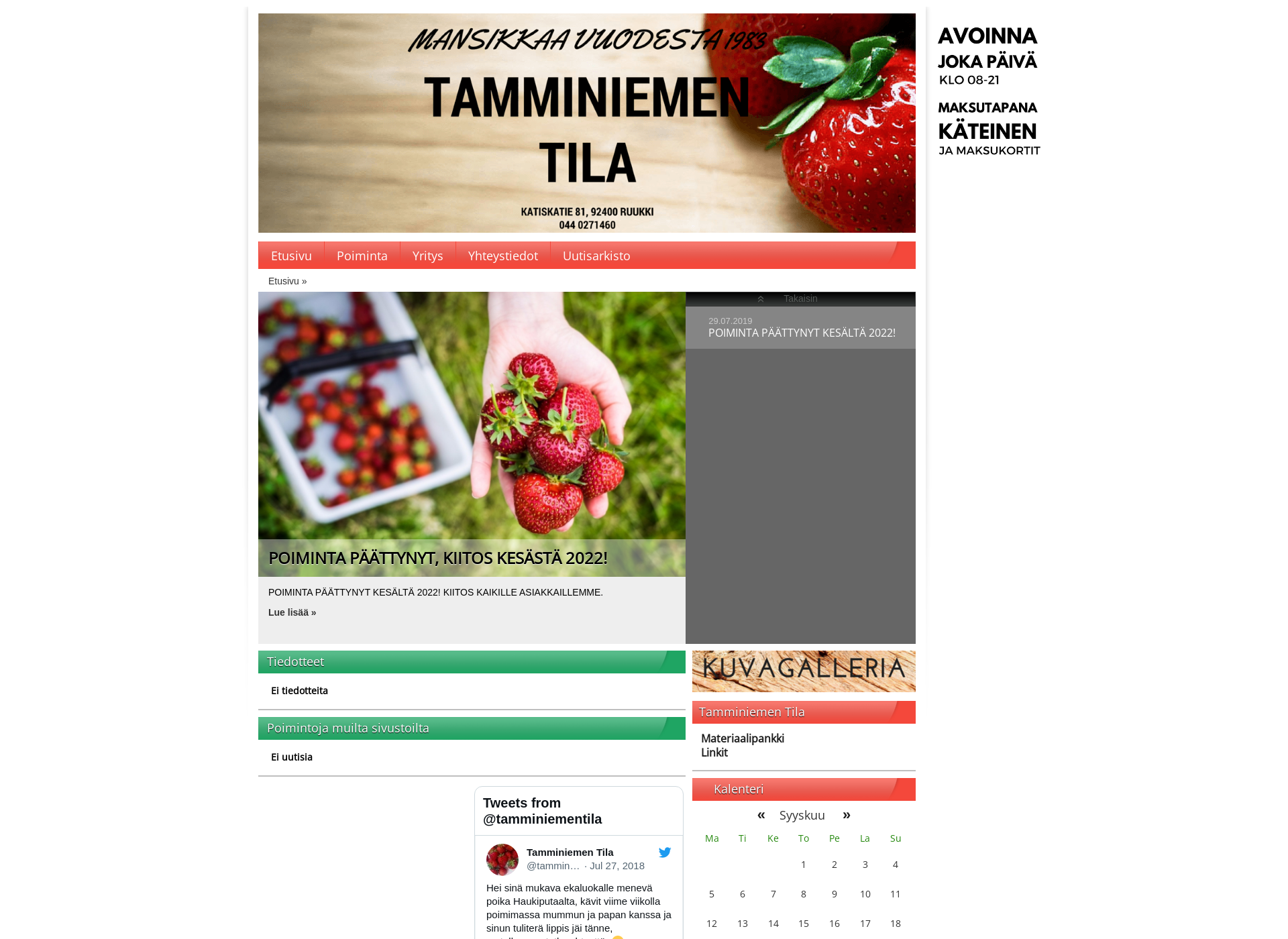 Screenshot for tamminiementila.fi