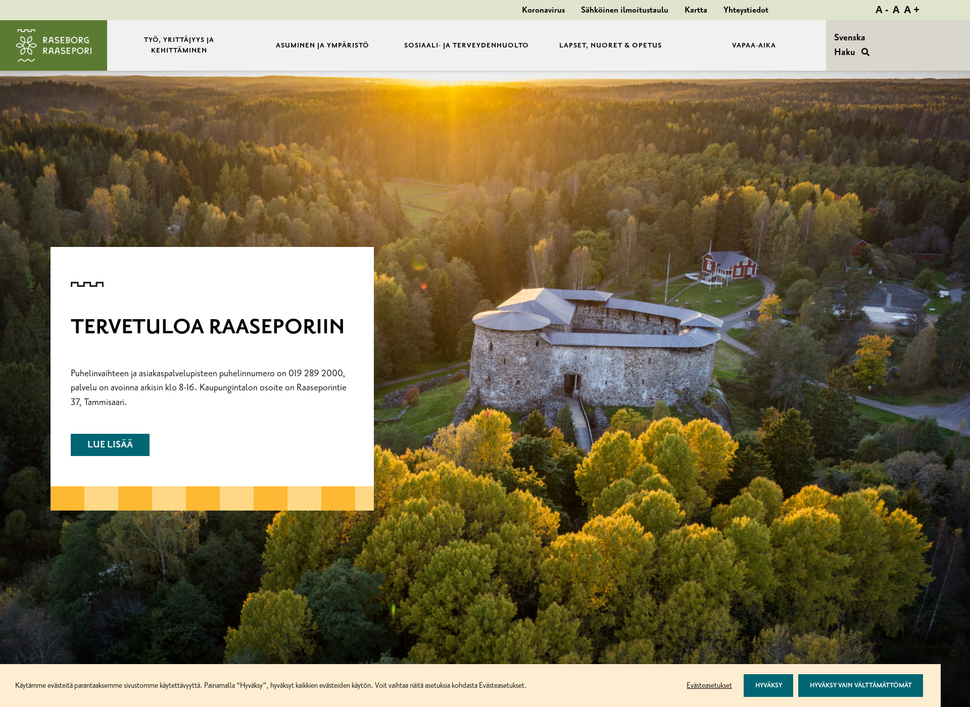 Screenshot for tammisaari.fi