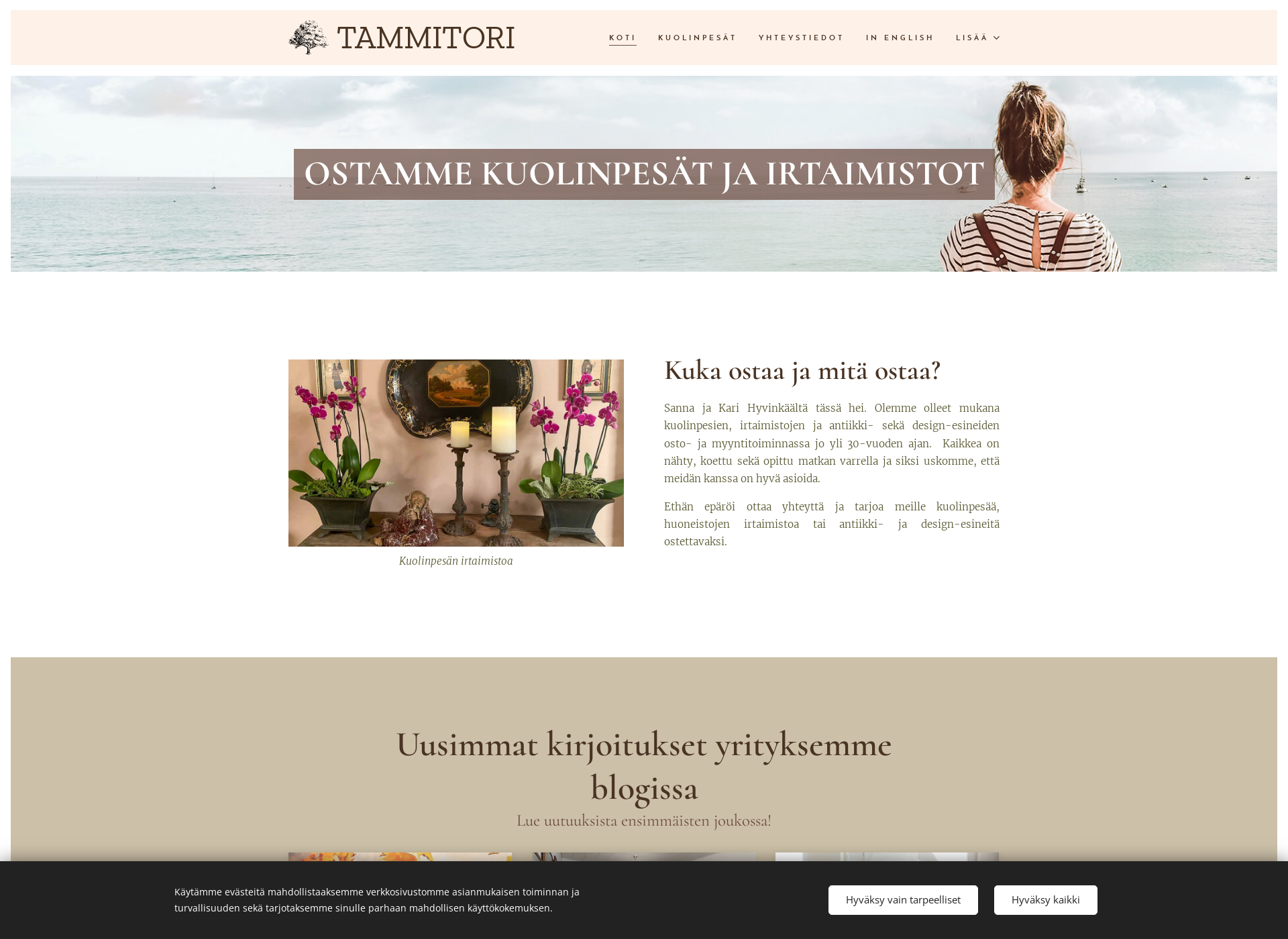 Skärmdump för tammitori.fi