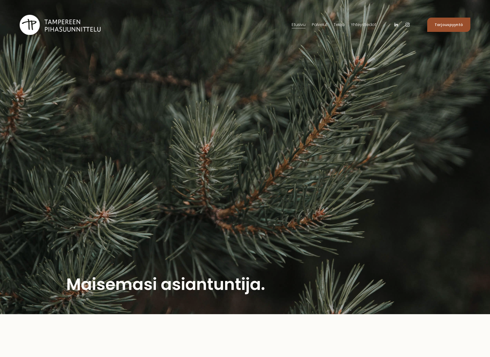 Screenshot for tampereenpihasuunnittelu.fi
