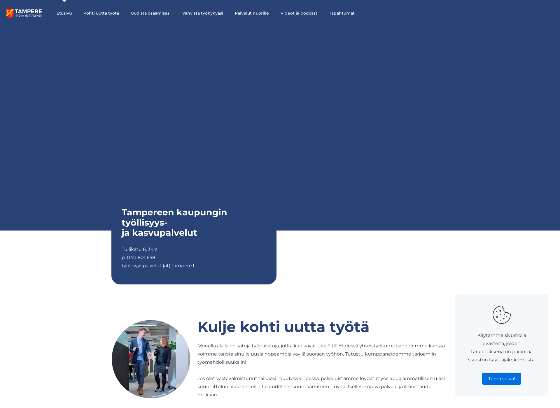 Screenshot for tamperetyonhakijoille.fi