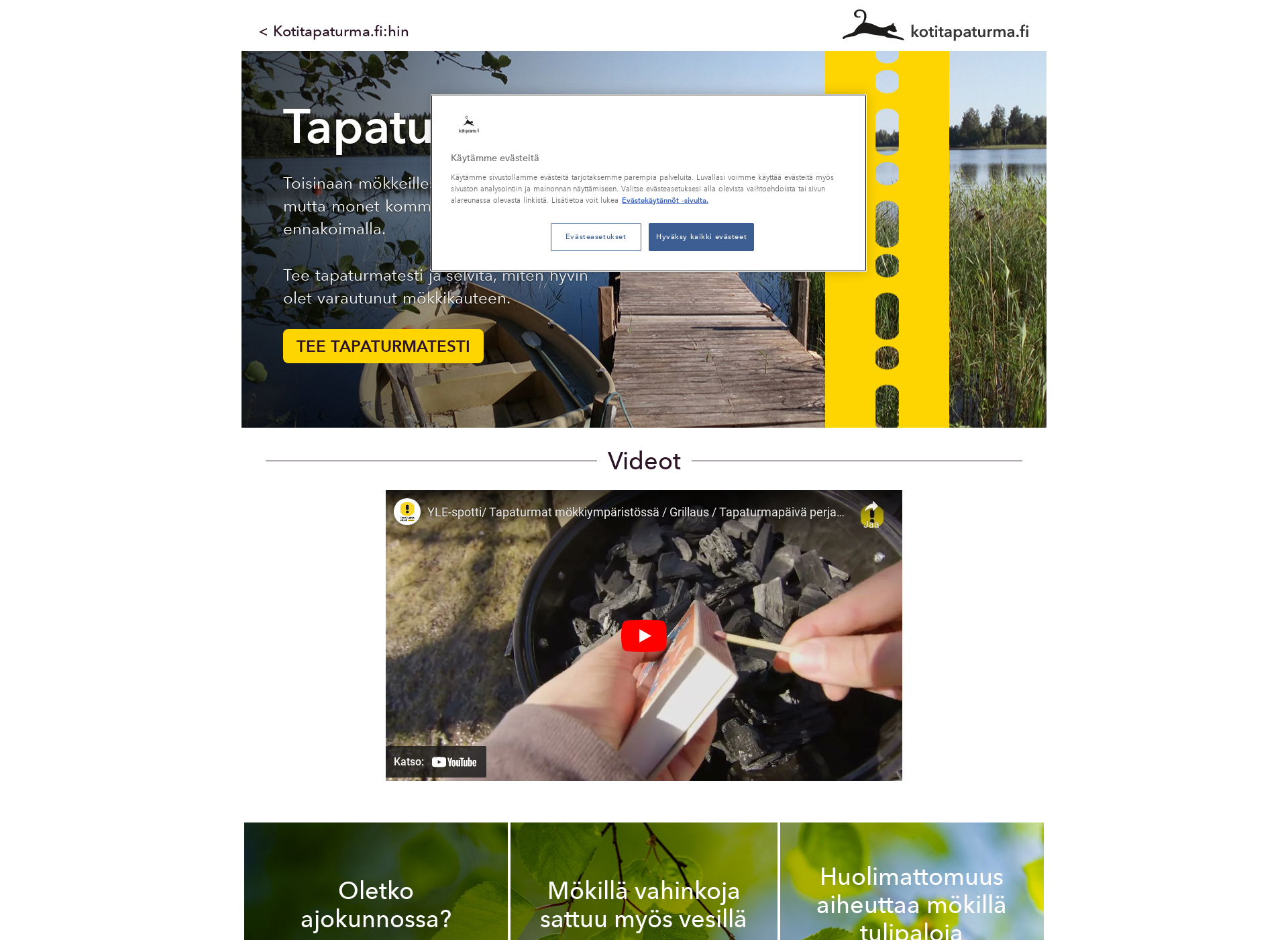 Screenshot for tapaturmapaiva.fi