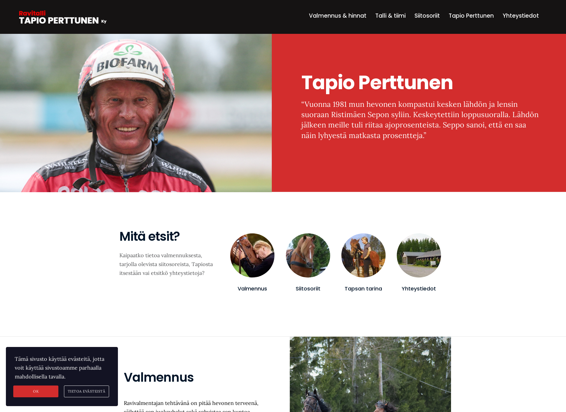 Skärmdump för tapioperttunen.fi