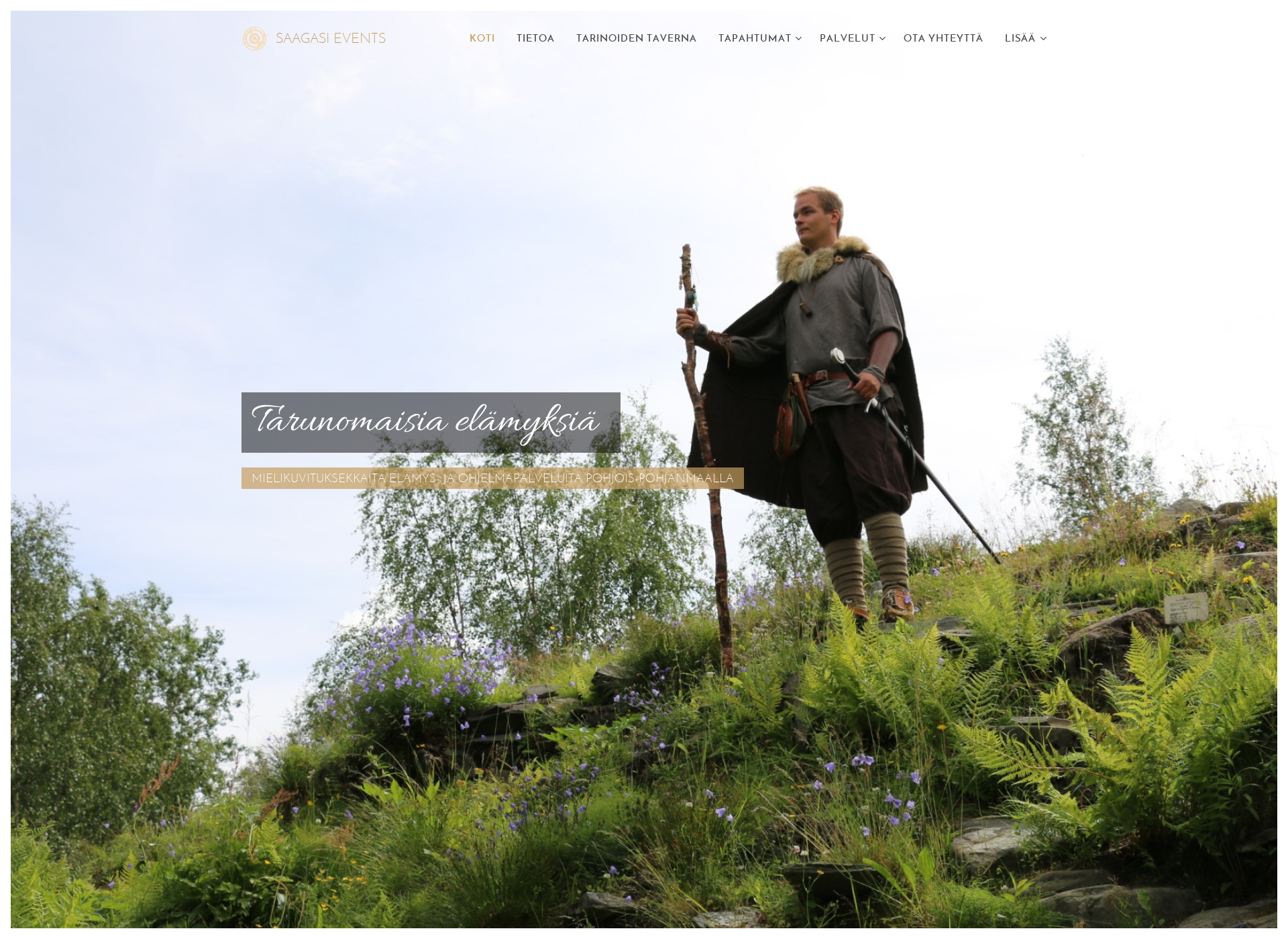 Screenshot for tarinoidentaverna.fi