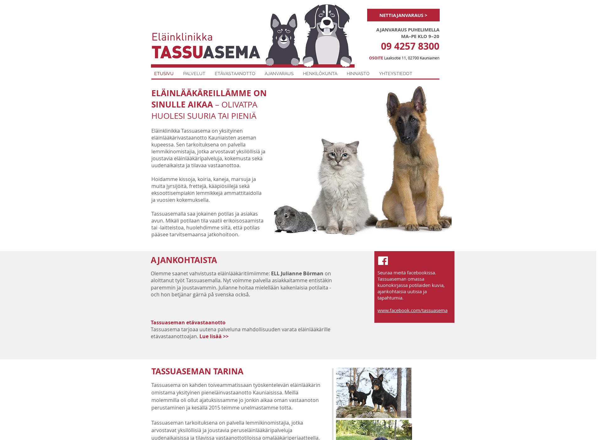 Skärmdump för tassuasema.fi