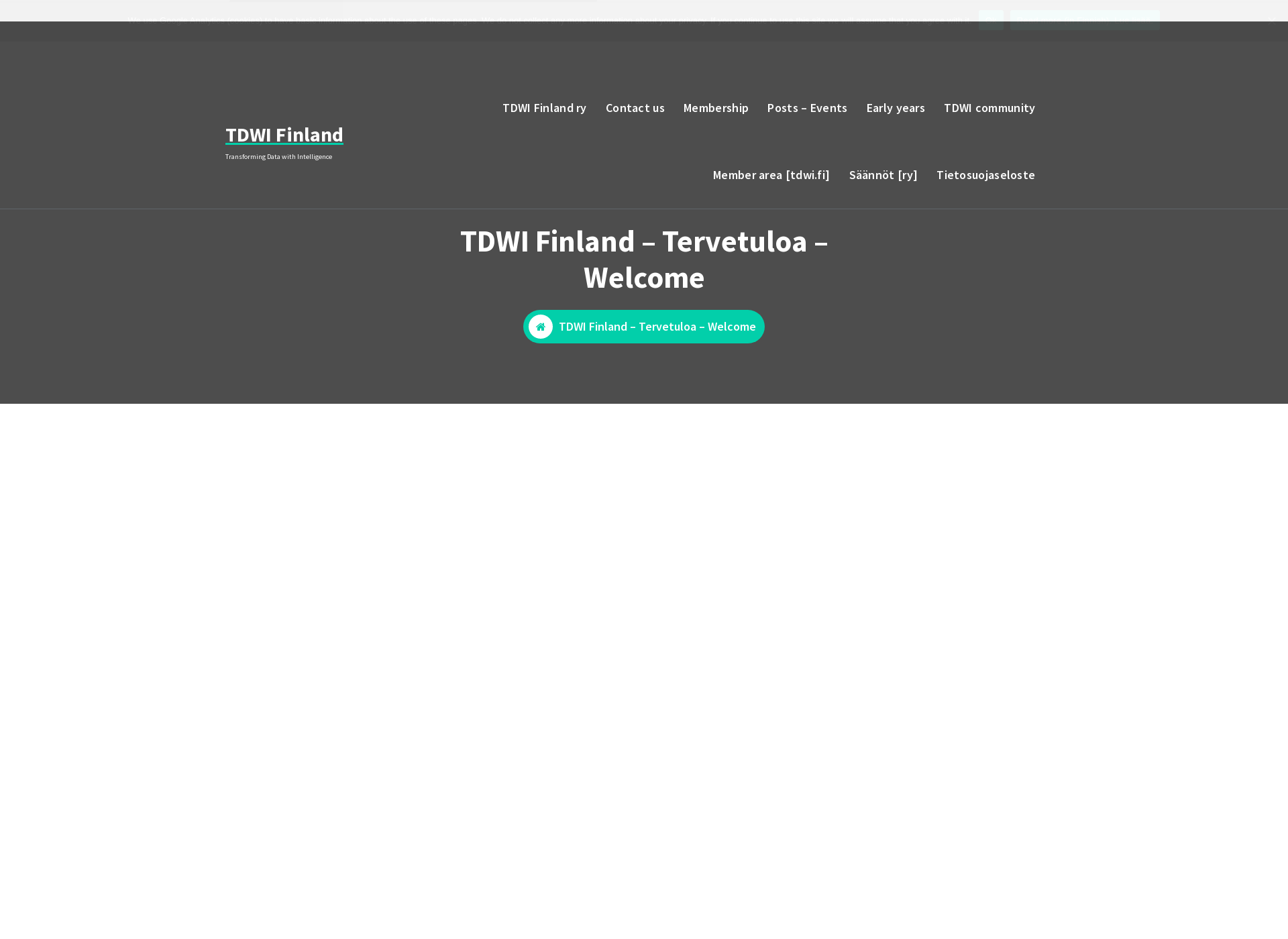 Screenshot for tdwi.fi