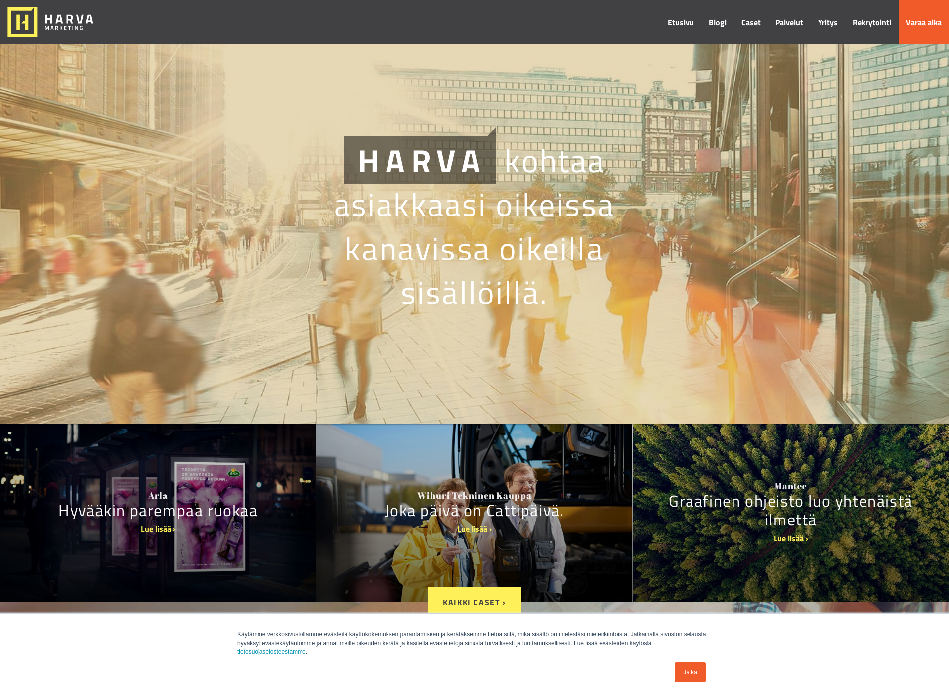 Screenshot for teamharva.fi