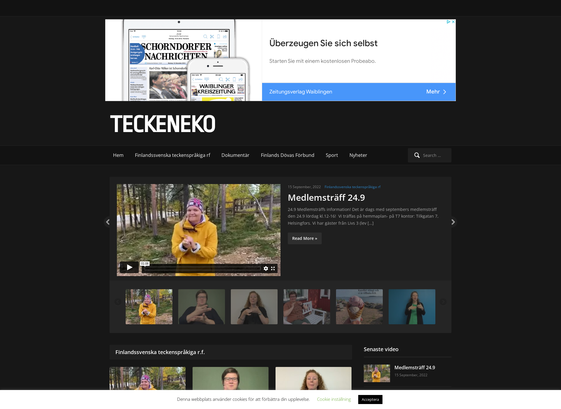 Screenshot for teckeneko.fi