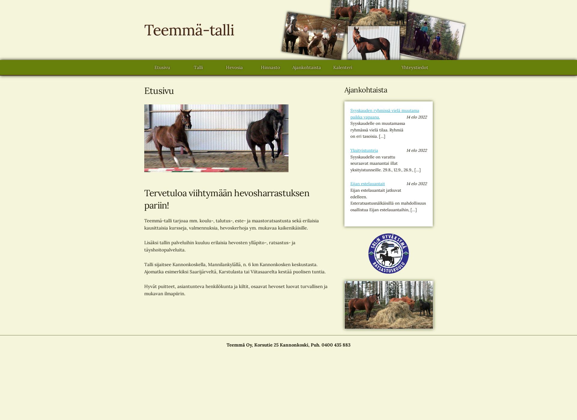 Screenshot for teemma.fi