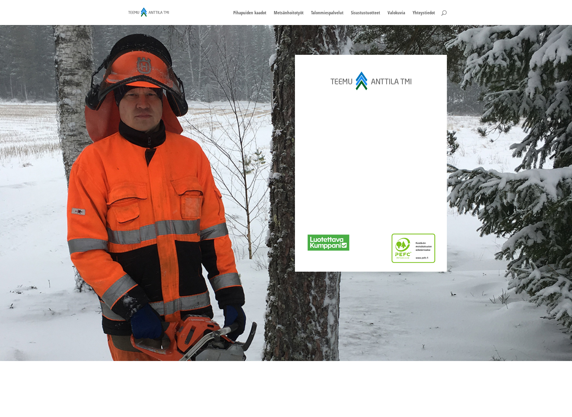 Screenshot for teemuanttila.fi