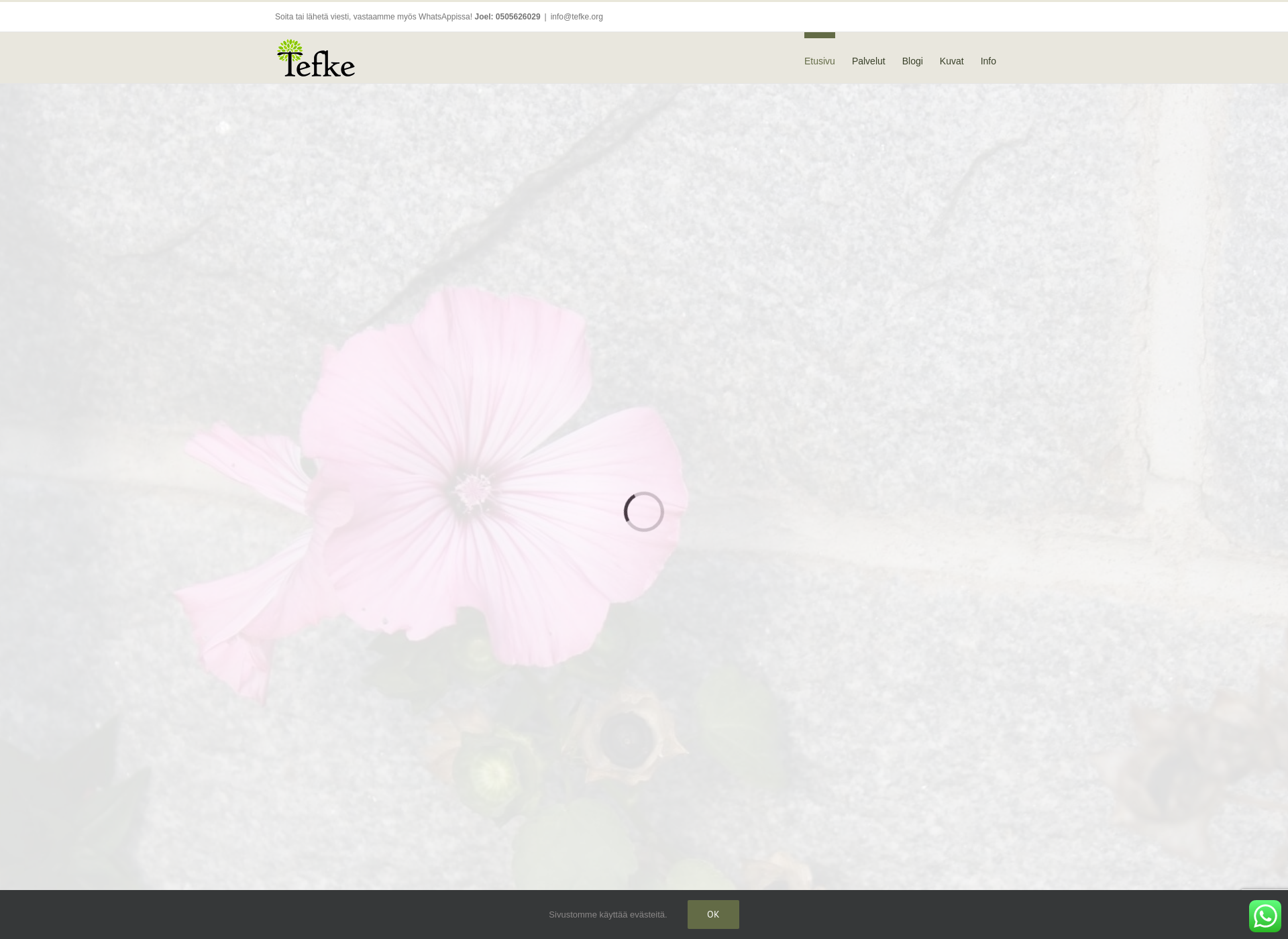 Screenshot for tefke.org