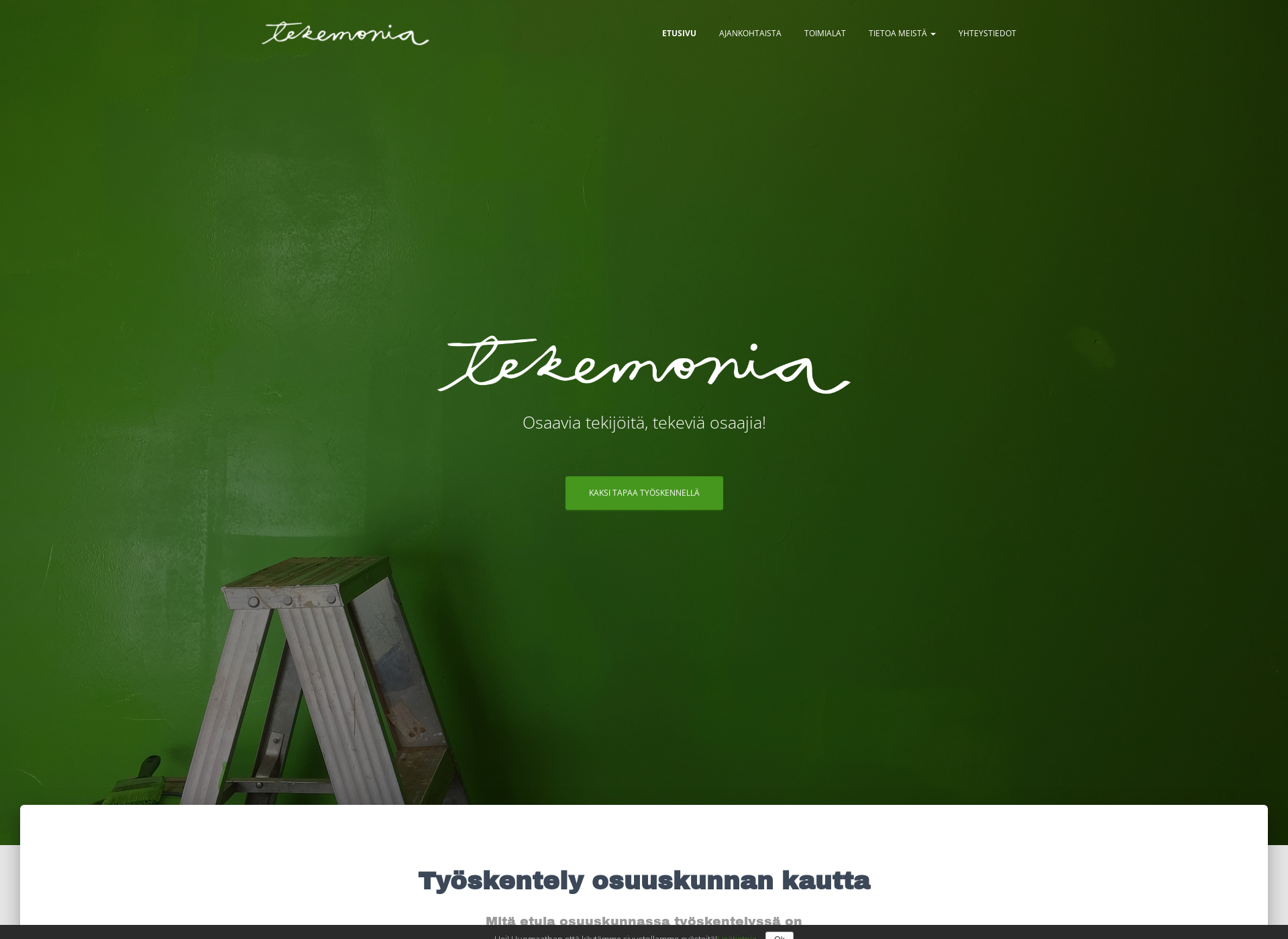 Skärmdump för tekemonia.fi