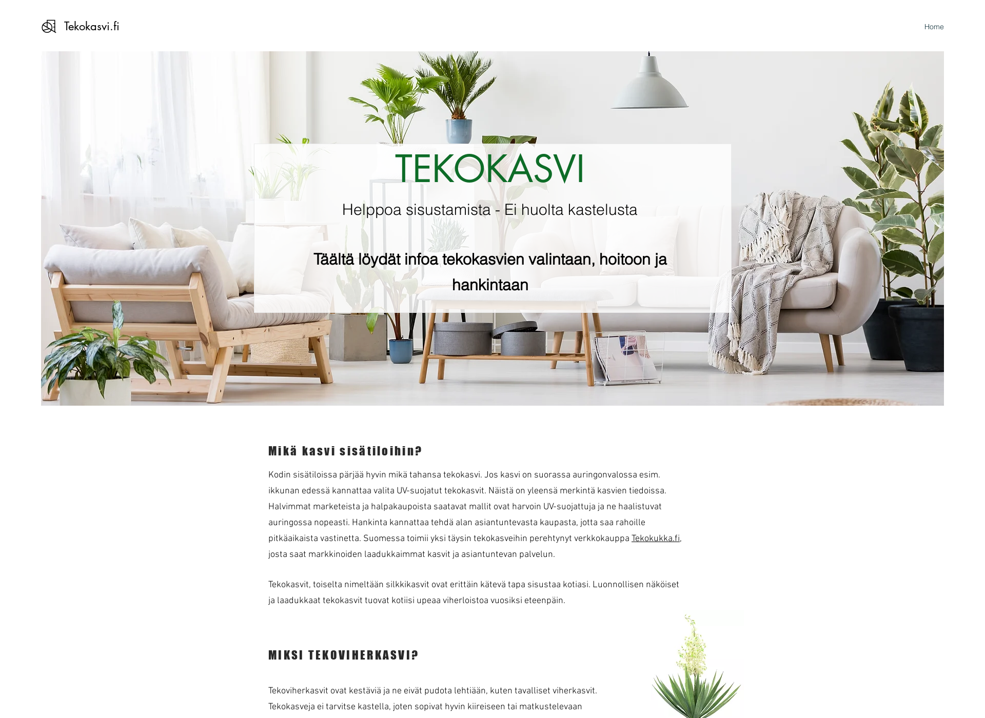 Skärmdump för tekokasvi.fi