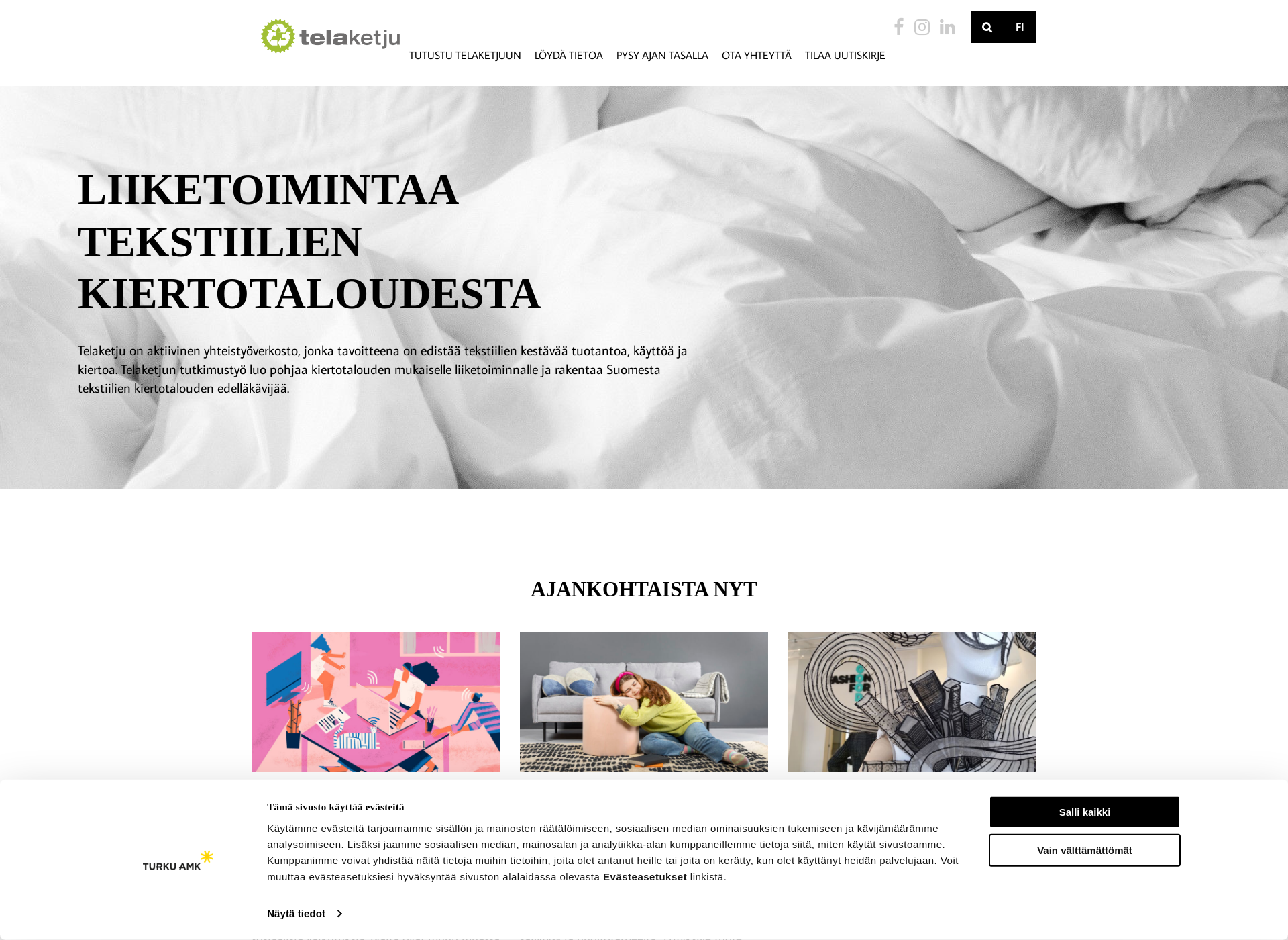 Screenshot for telaketju.fi