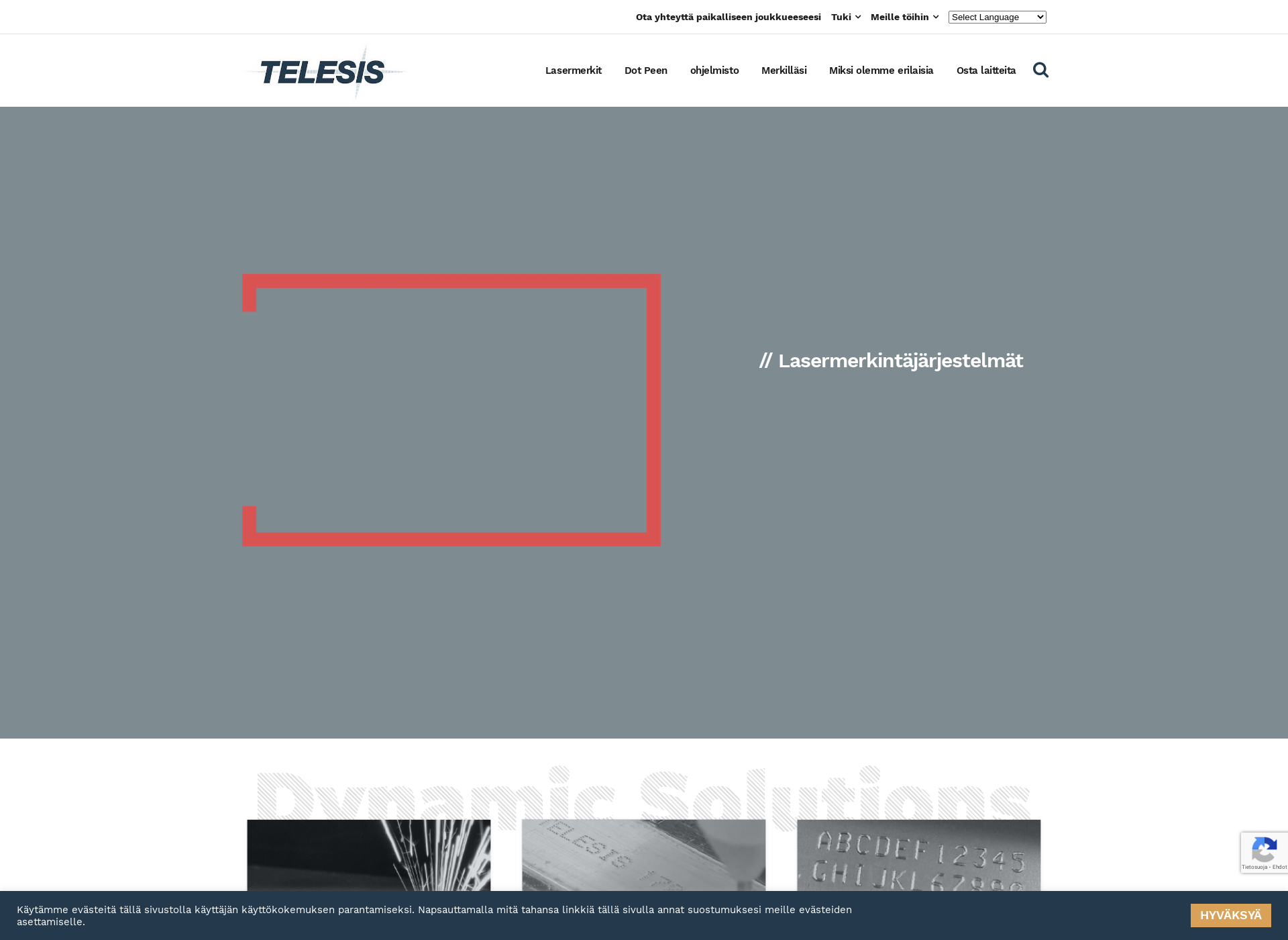 Screenshot for telesis.fi