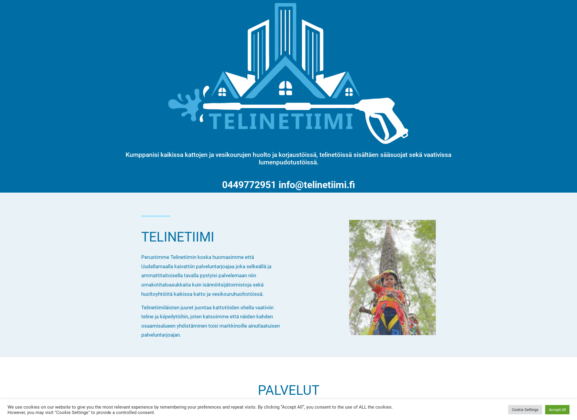 Screenshot for telinetiimi.fi