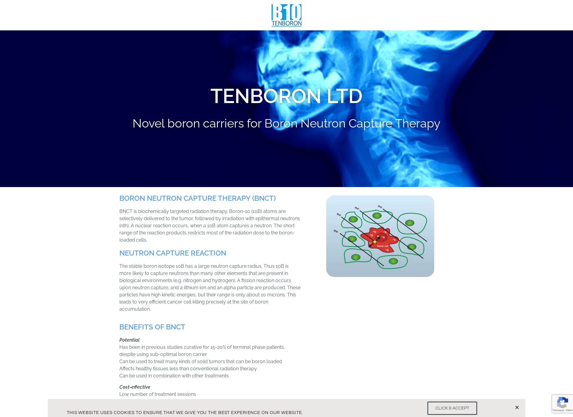 Screenshot for tenboron.fi