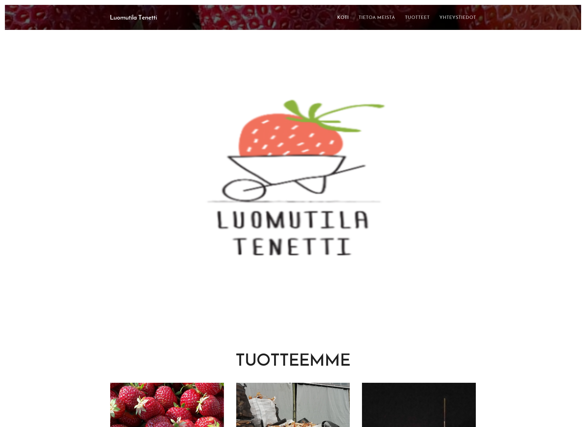Skärmdump för tenetti.fi
