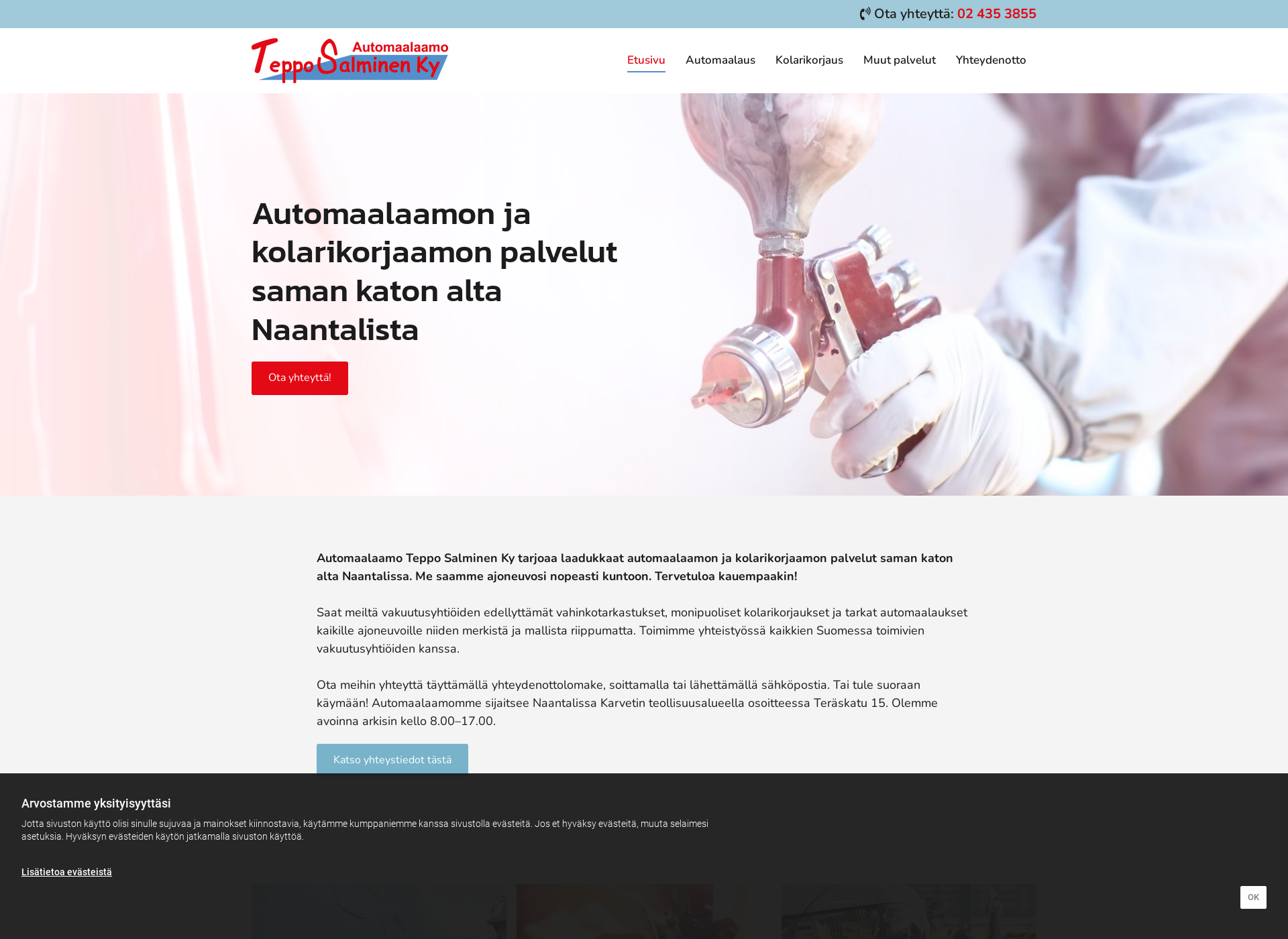 Screenshot for tepposalminen.fi