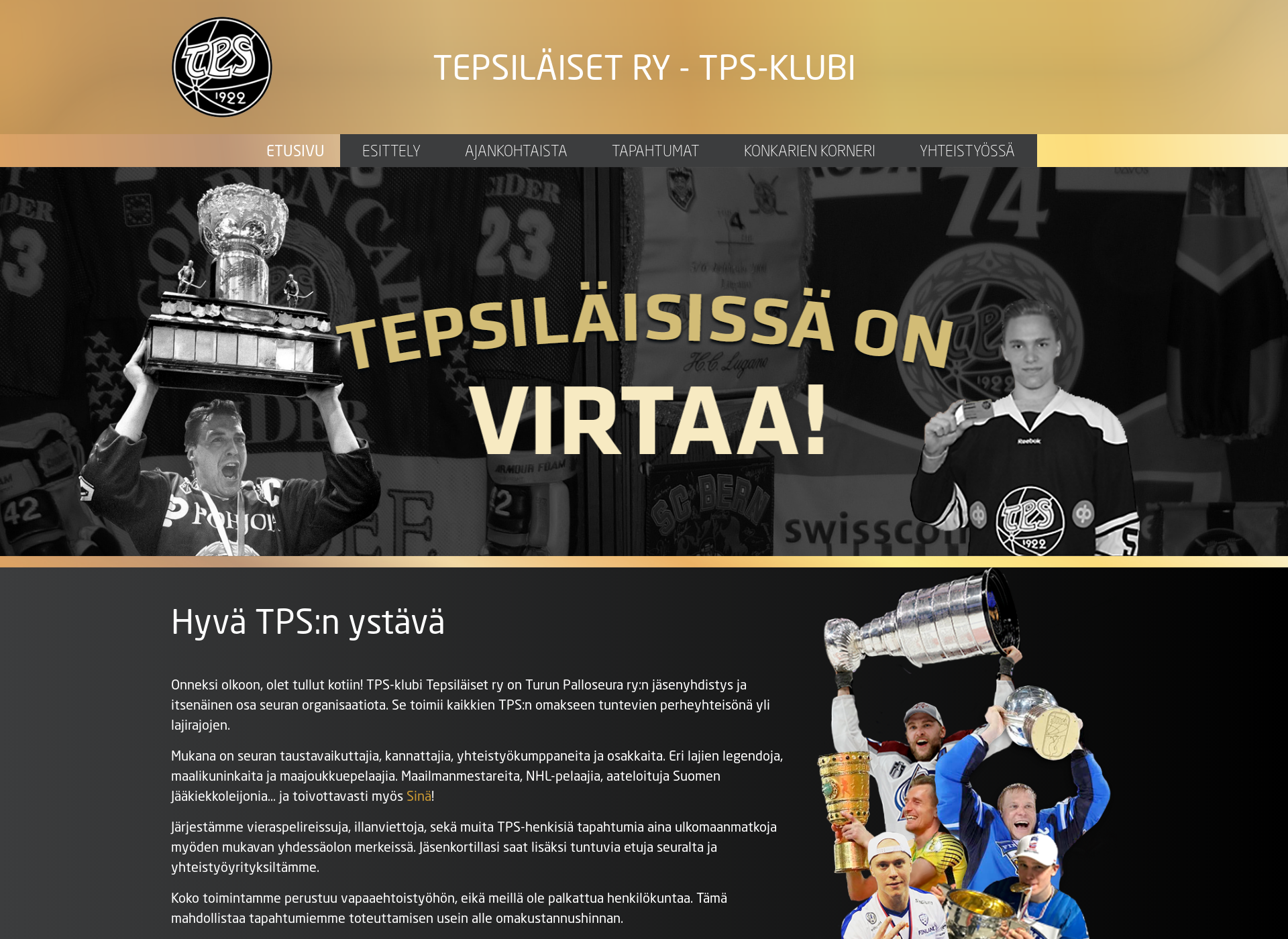 Näyttökuva tepsiläiset.fi