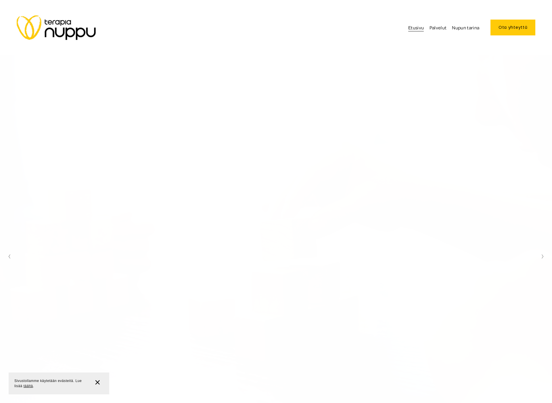 Screenshot for terapianuppu.fi