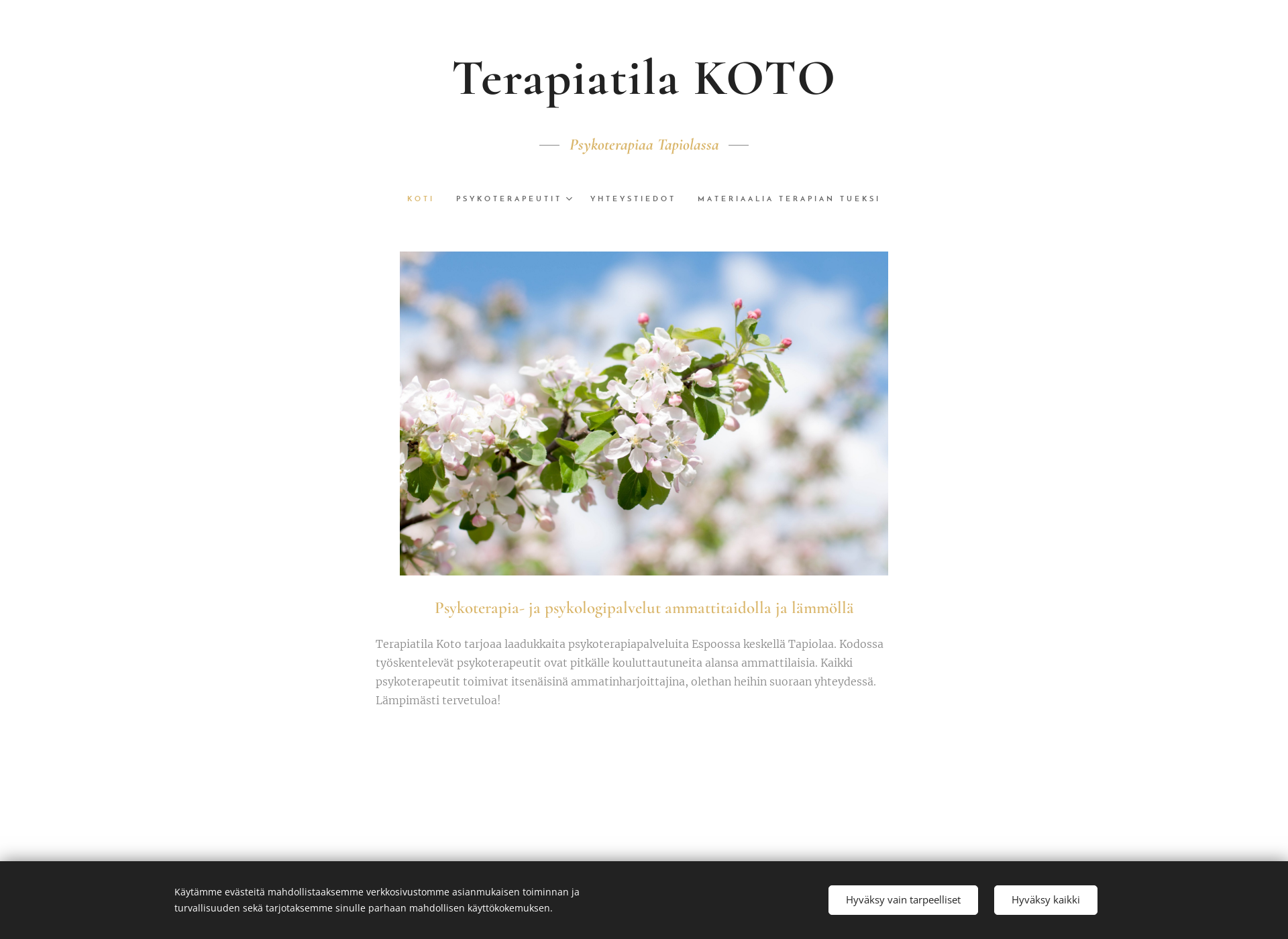Skärmdump för terapiatilakoto.fi