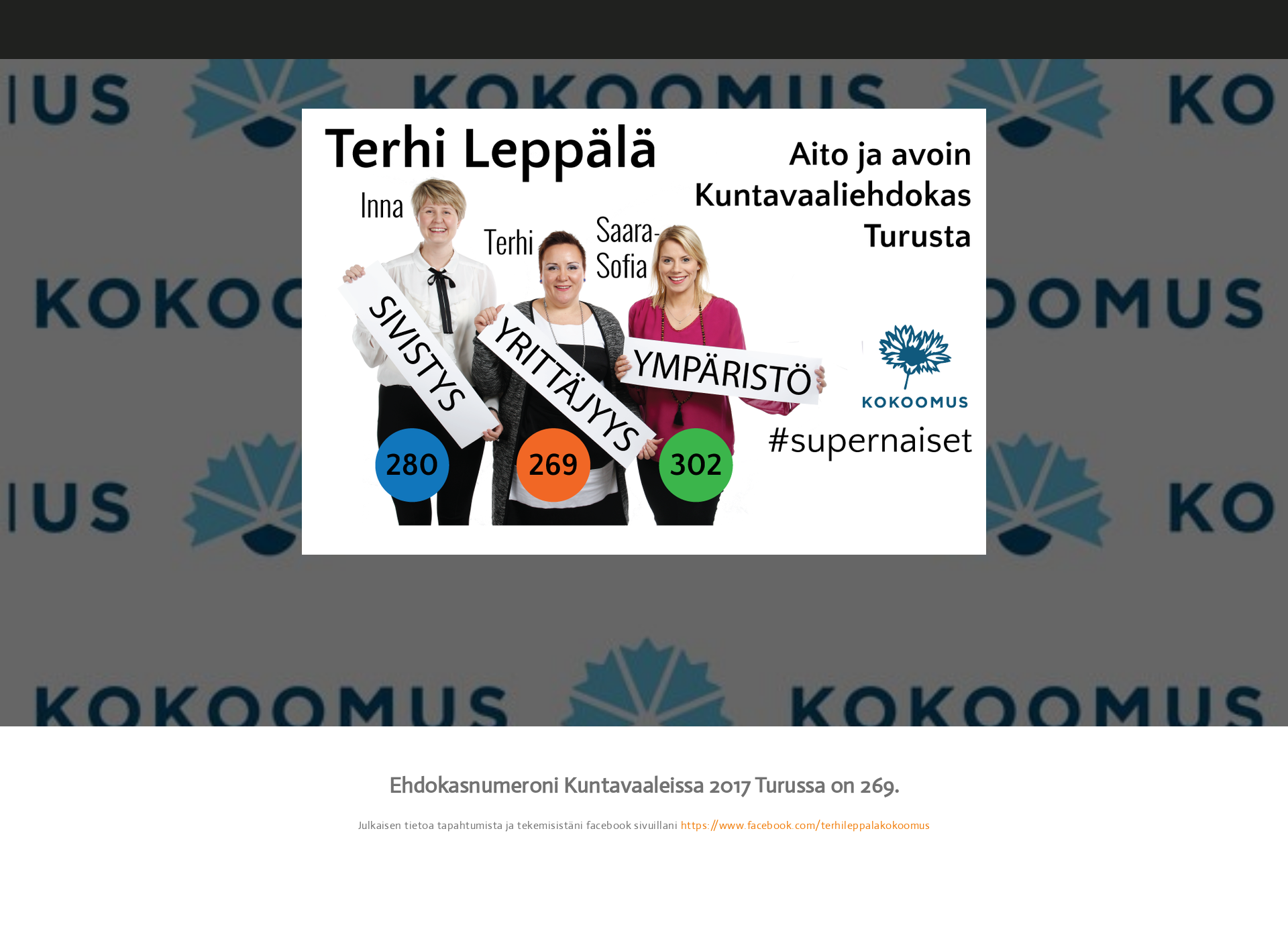 Screenshot for terhileppala.fi