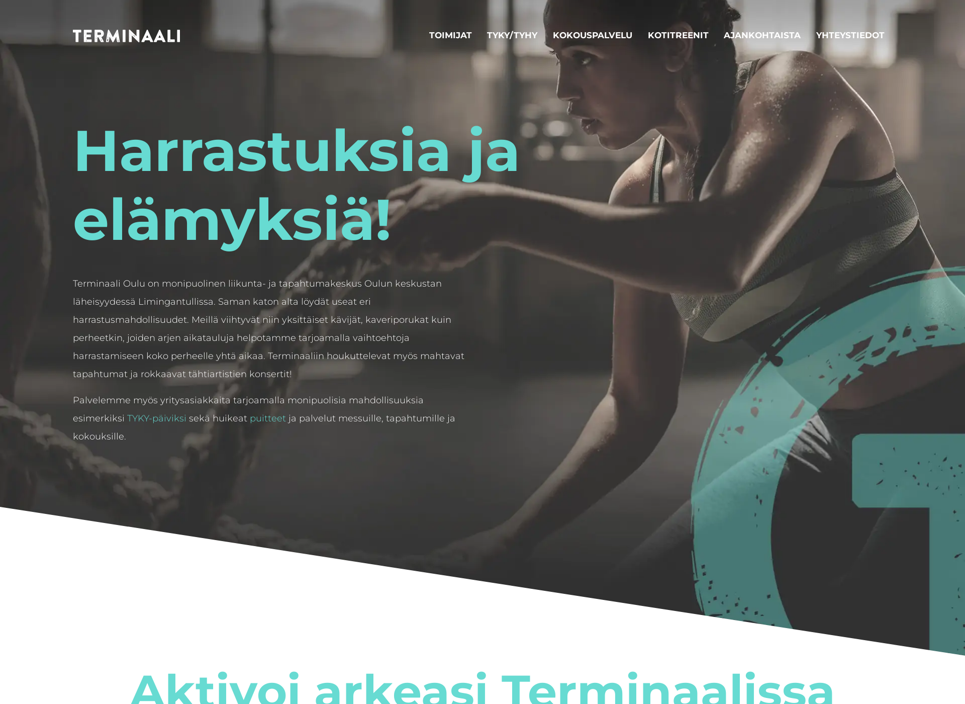 Skärmdump för terminaalioulu.fi