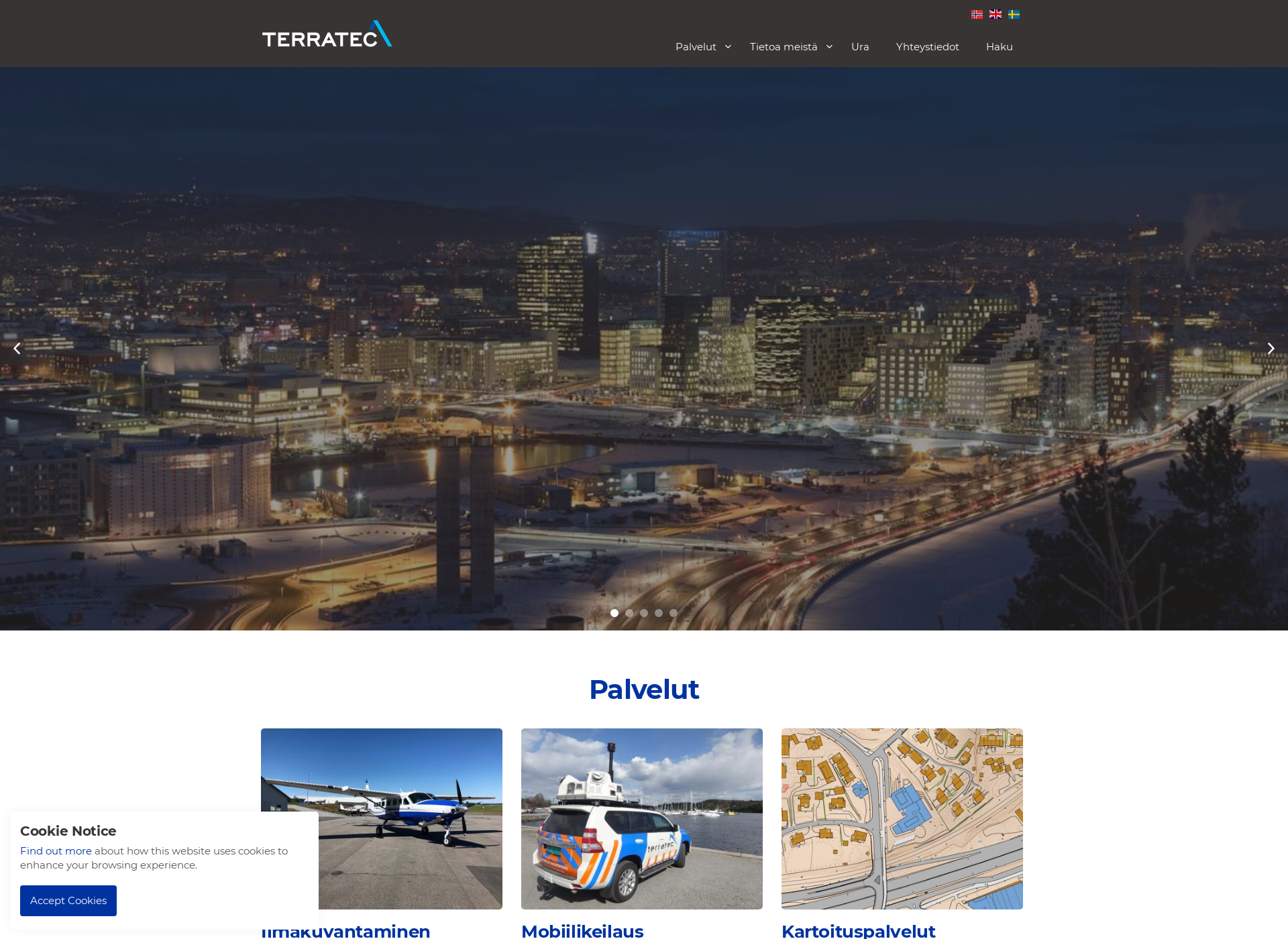 Screenshot for terratec.fi