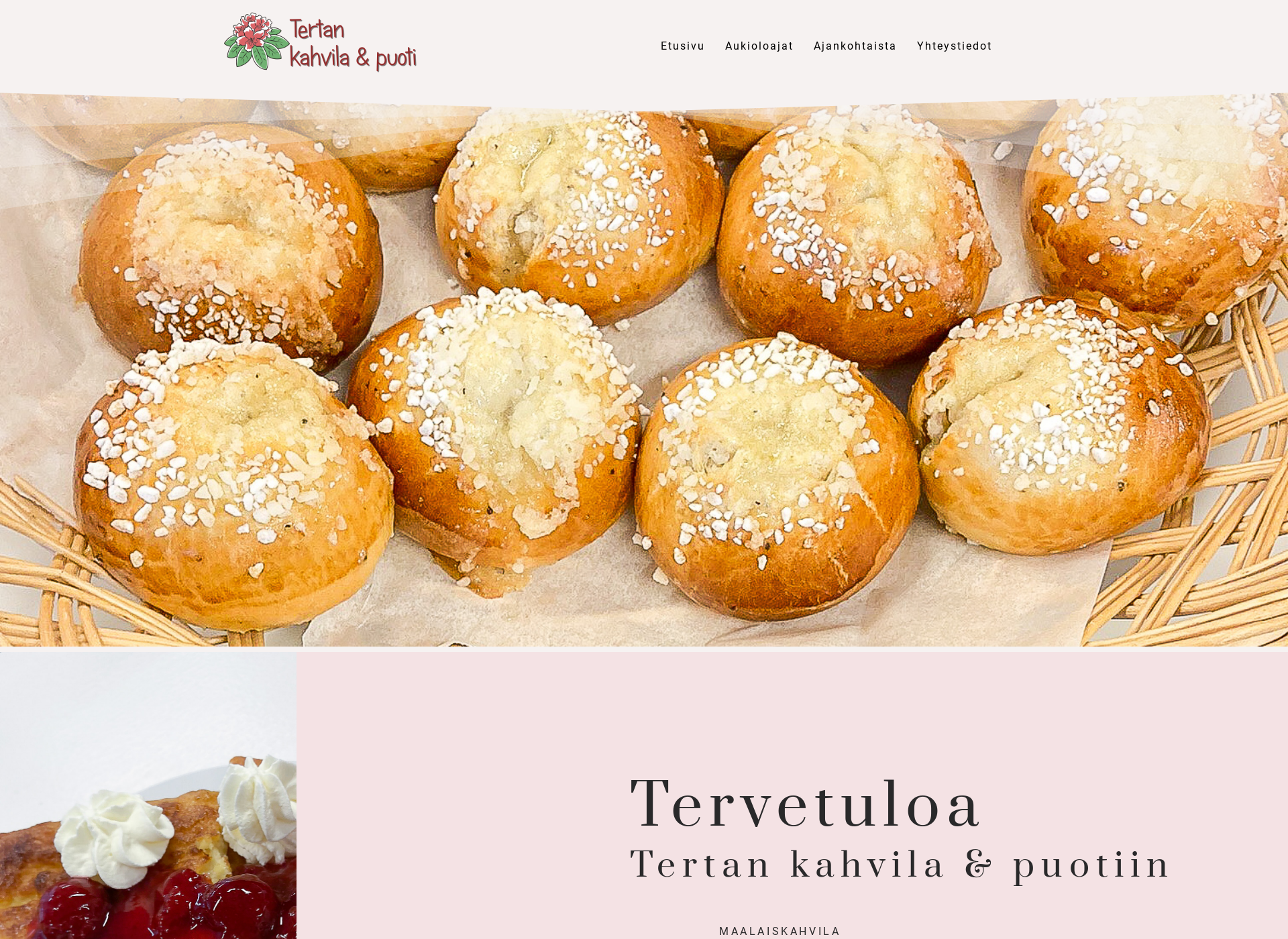 Screenshot for terta.fi