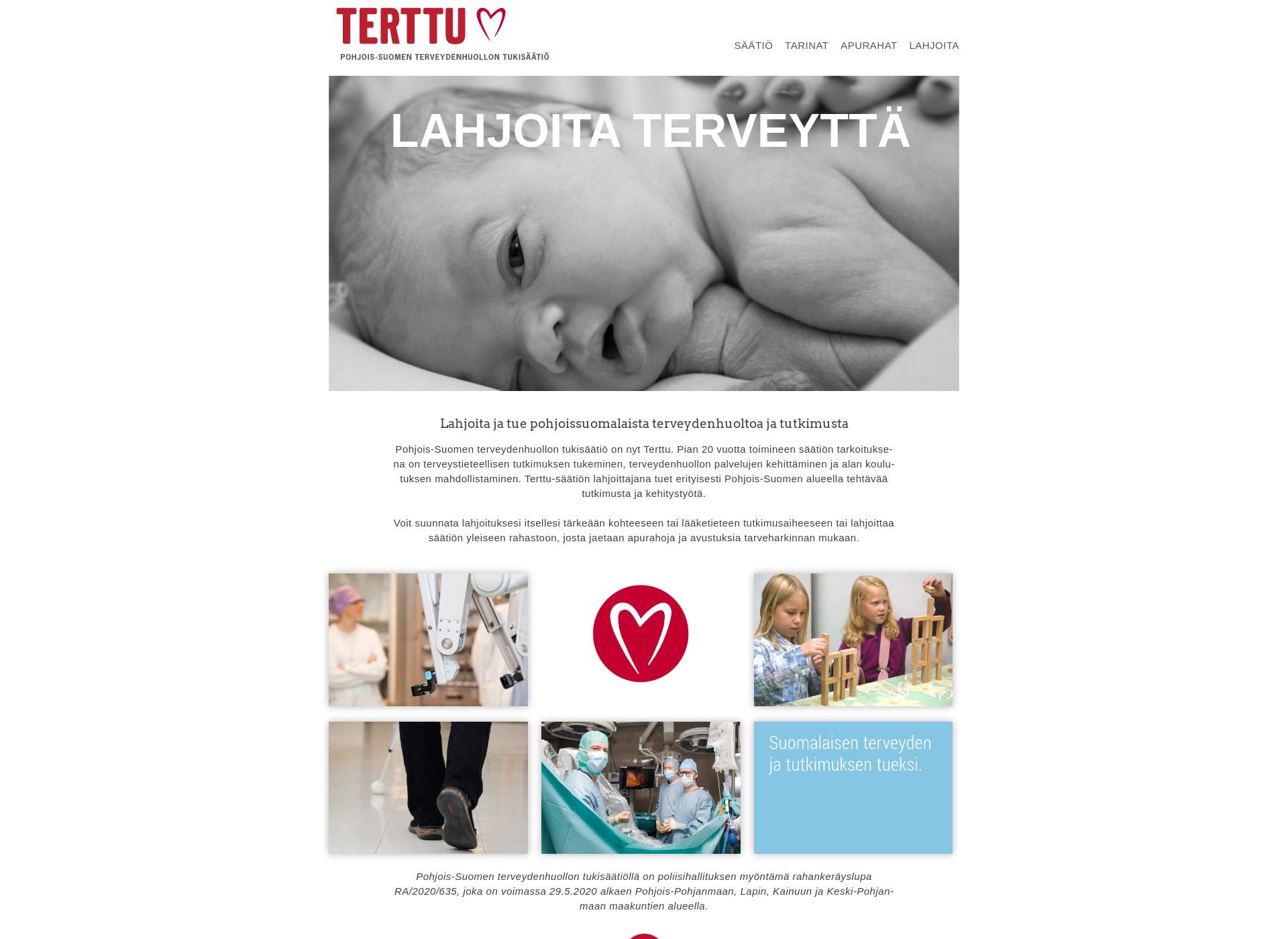 Screenshot for terttusaatio.fi