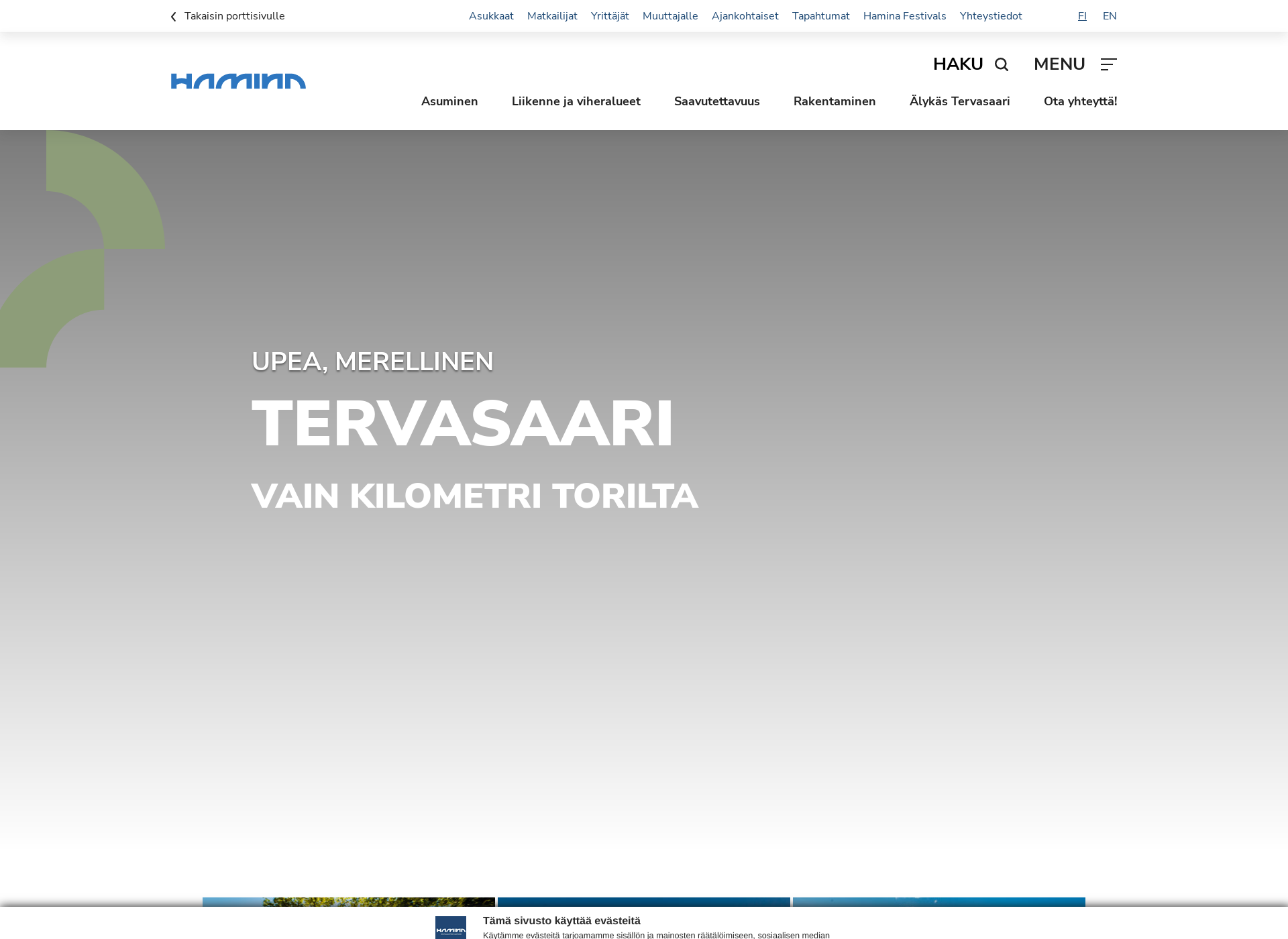 Screenshot for tervasaari.fi