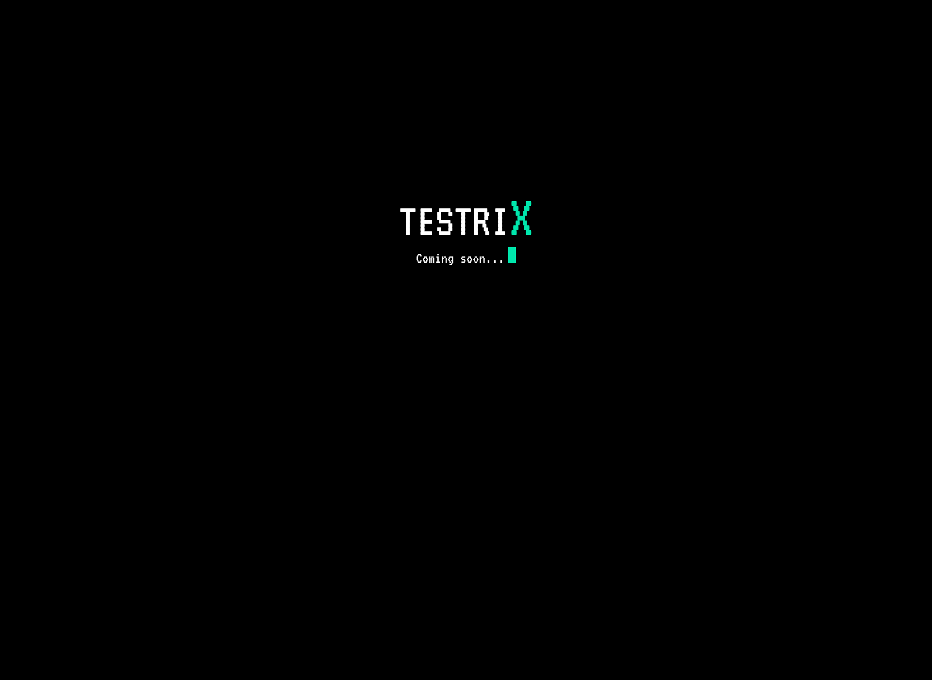 Screenshot for testrix.fi