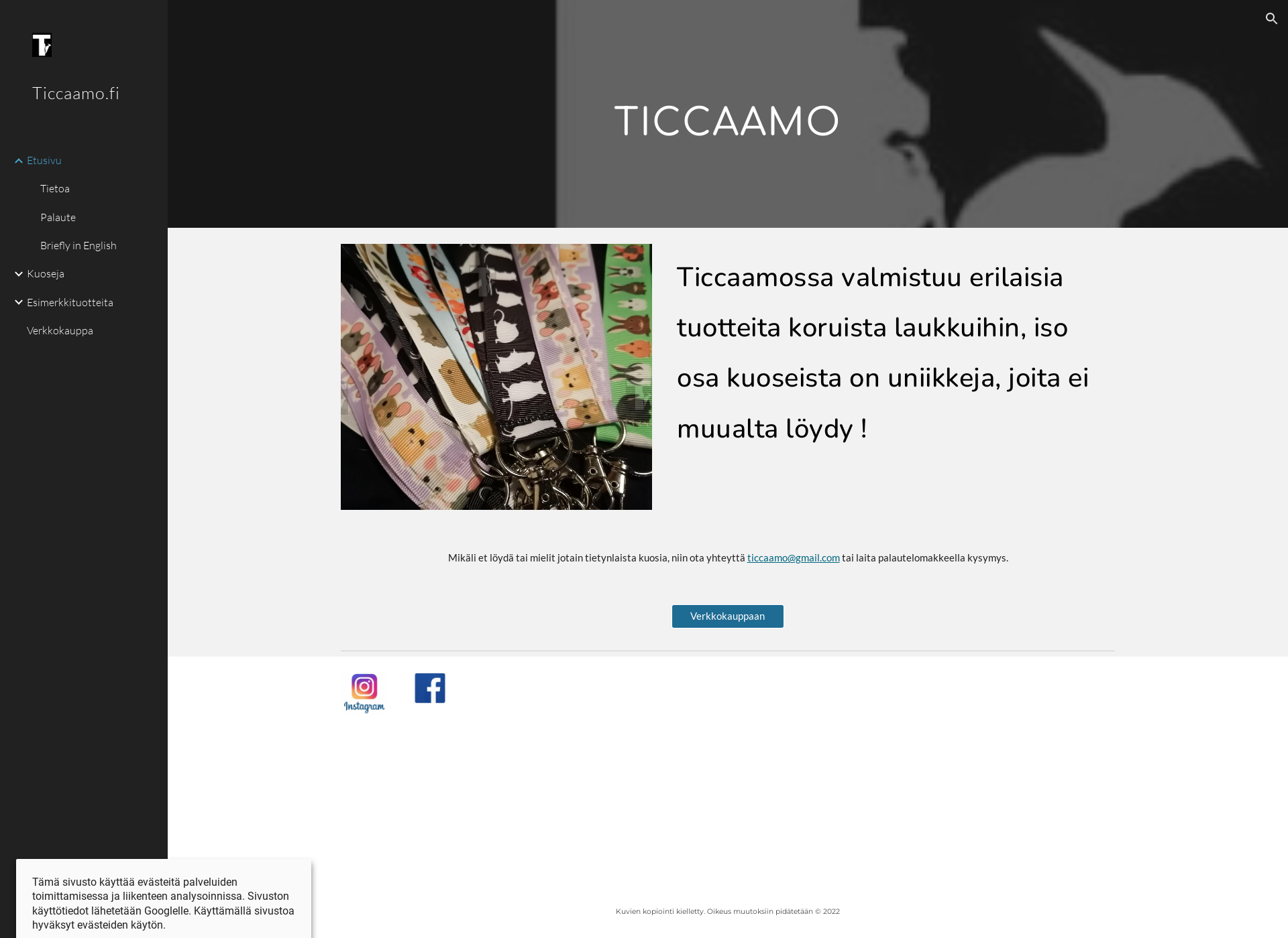 Screenshot for ticcaamo.fi