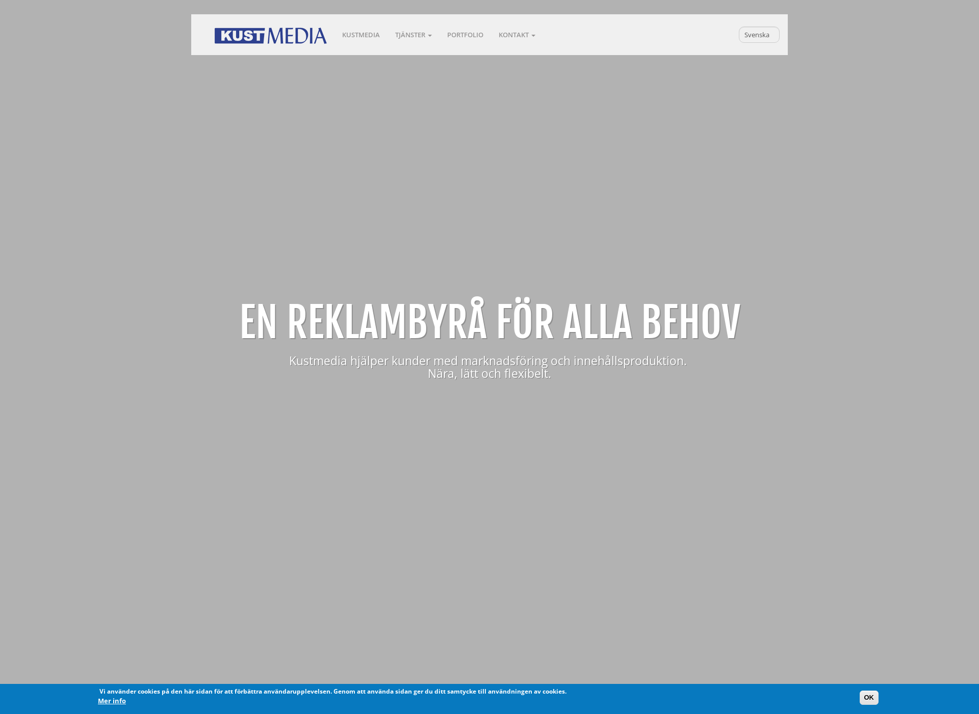 Skärmdump för tidningshuset.fi